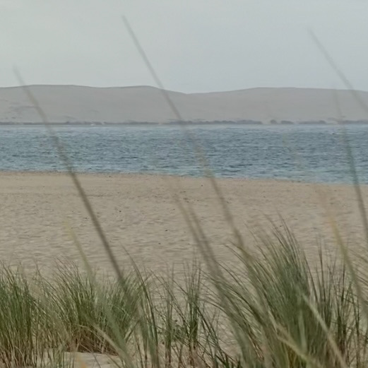Cap ferret-2022