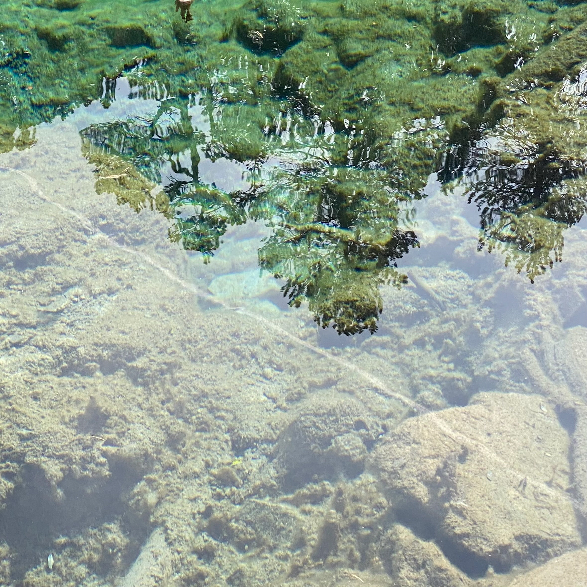 Lac vert-2022