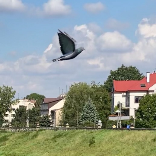 Krakow-2022