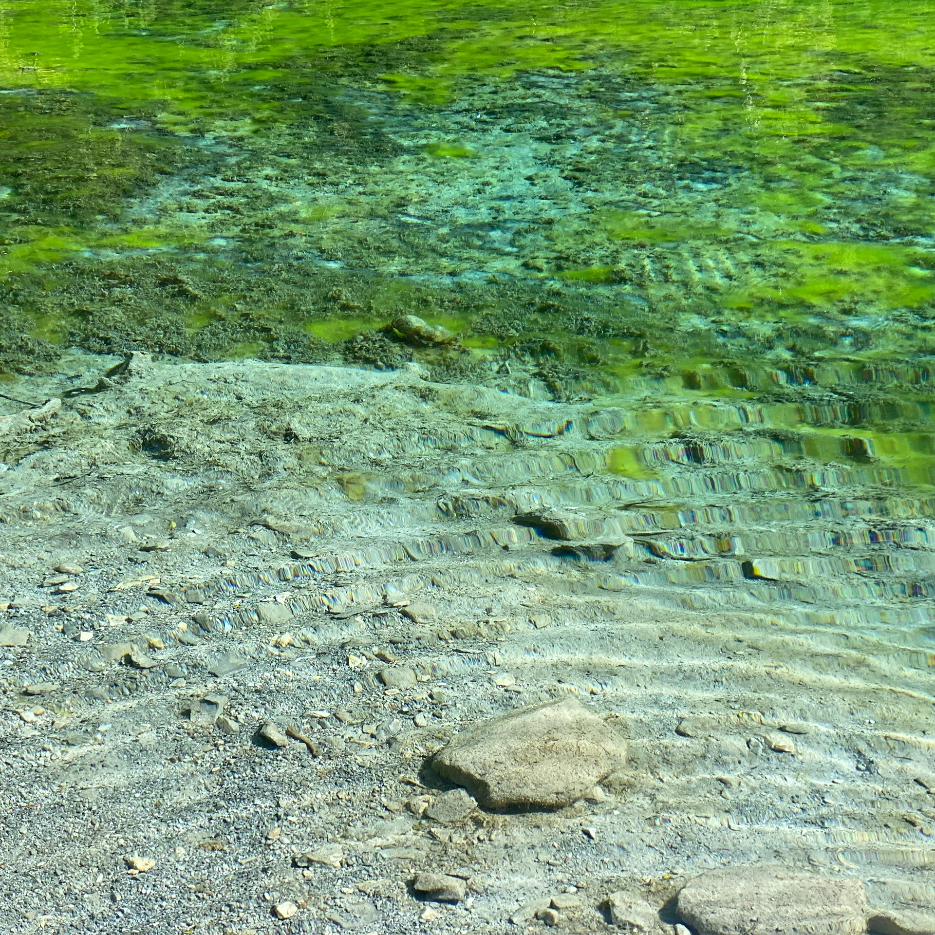 Lac vert-2022