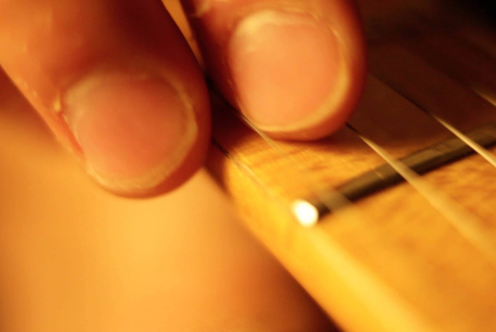 FOTOGRAFÍA: EDNEPHIL