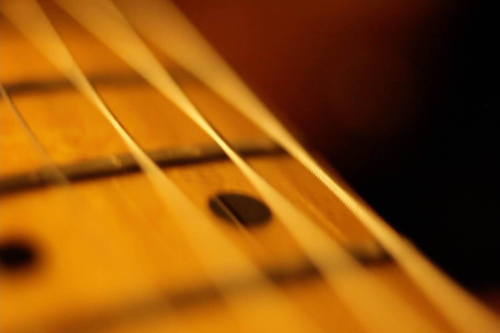 FOTOGRAFÍA: EDNEPHIL