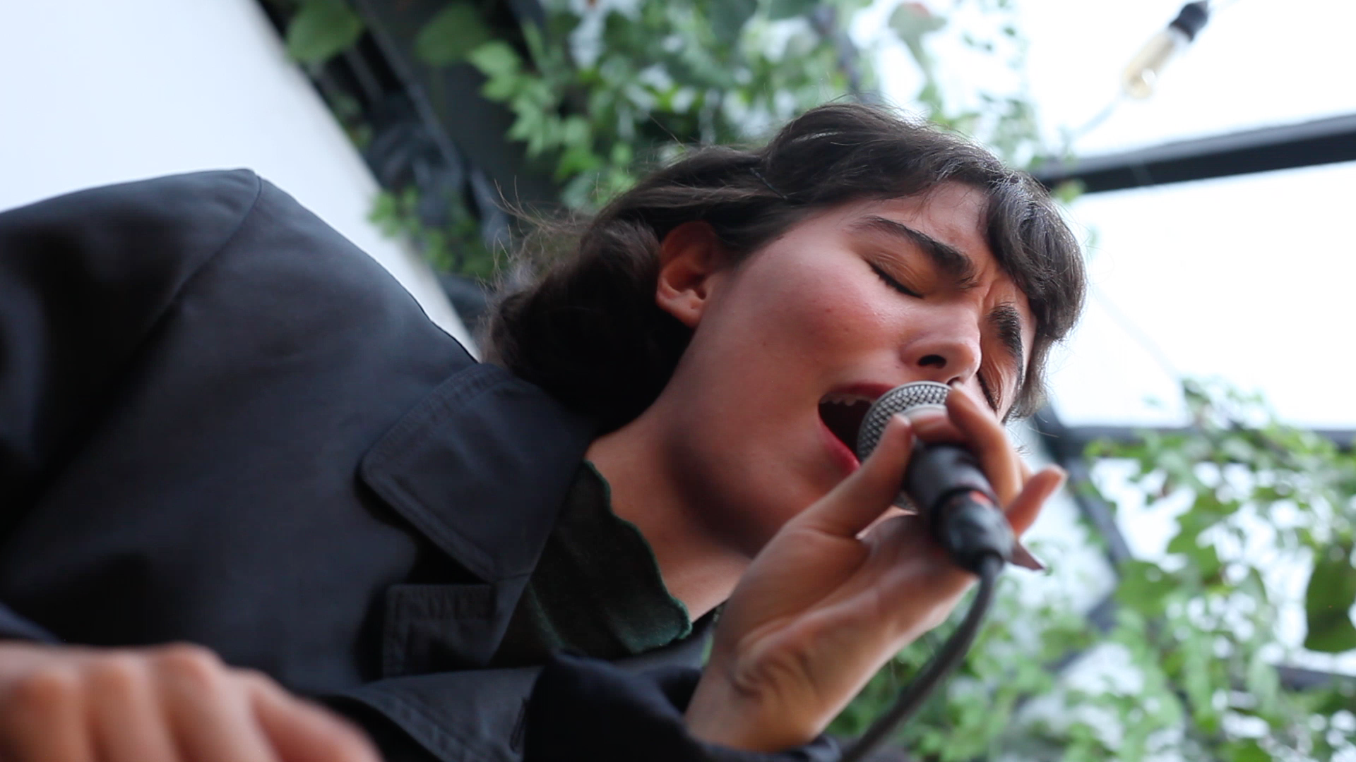 FOTOGRAFÍA: EDNEPHIL