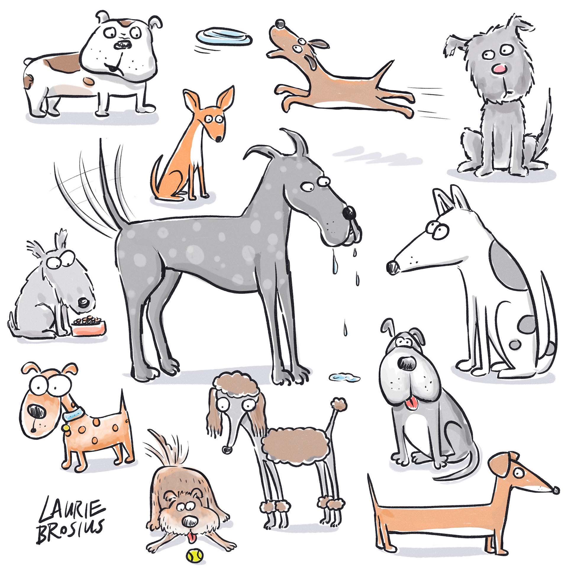 Super cute dogs illustrated in a fun cartoon style, bull dog, chi, Great Dane, poodle, dachshund, terriers, mutts, ©Laurie Brosius, illustration