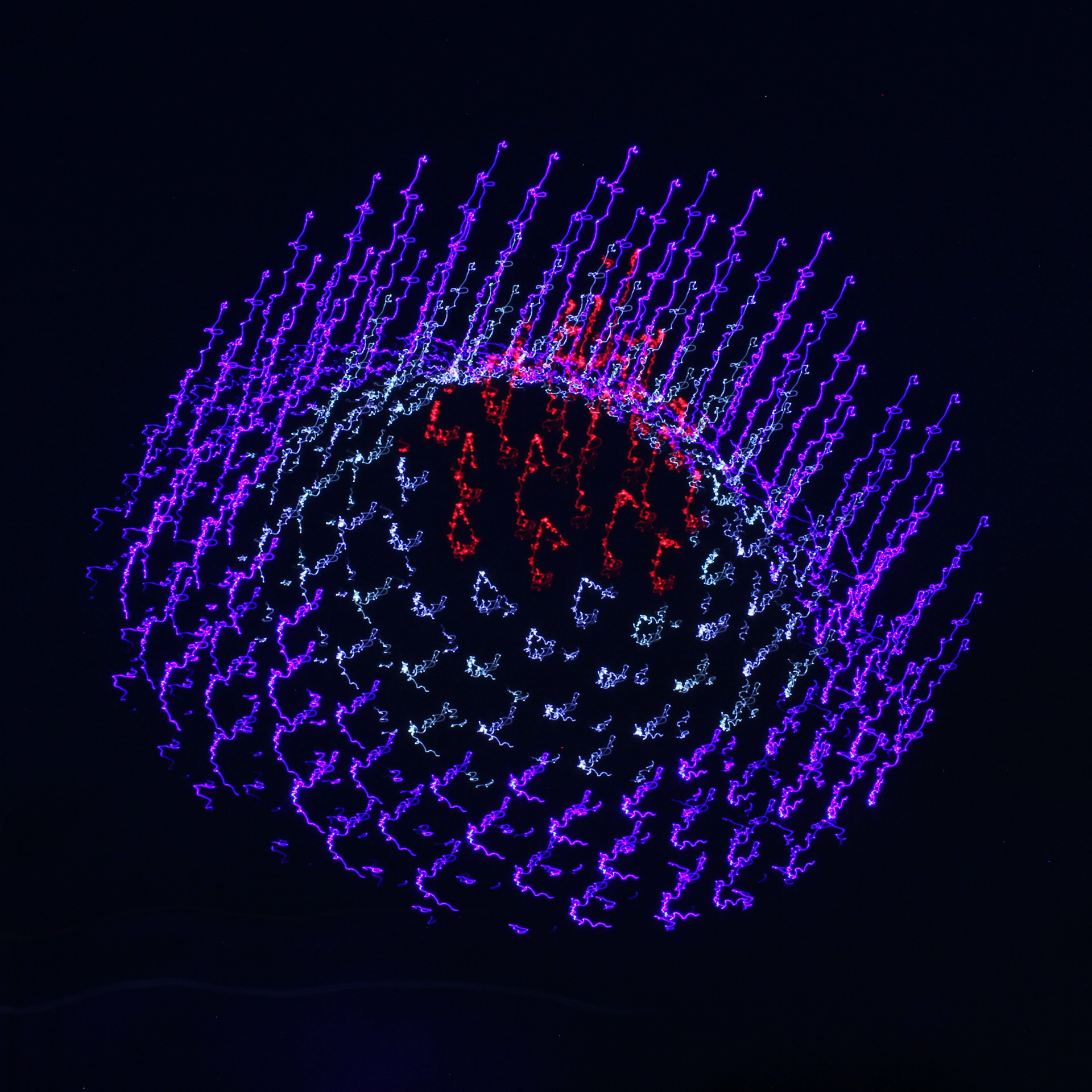 Cover for track "Catch"