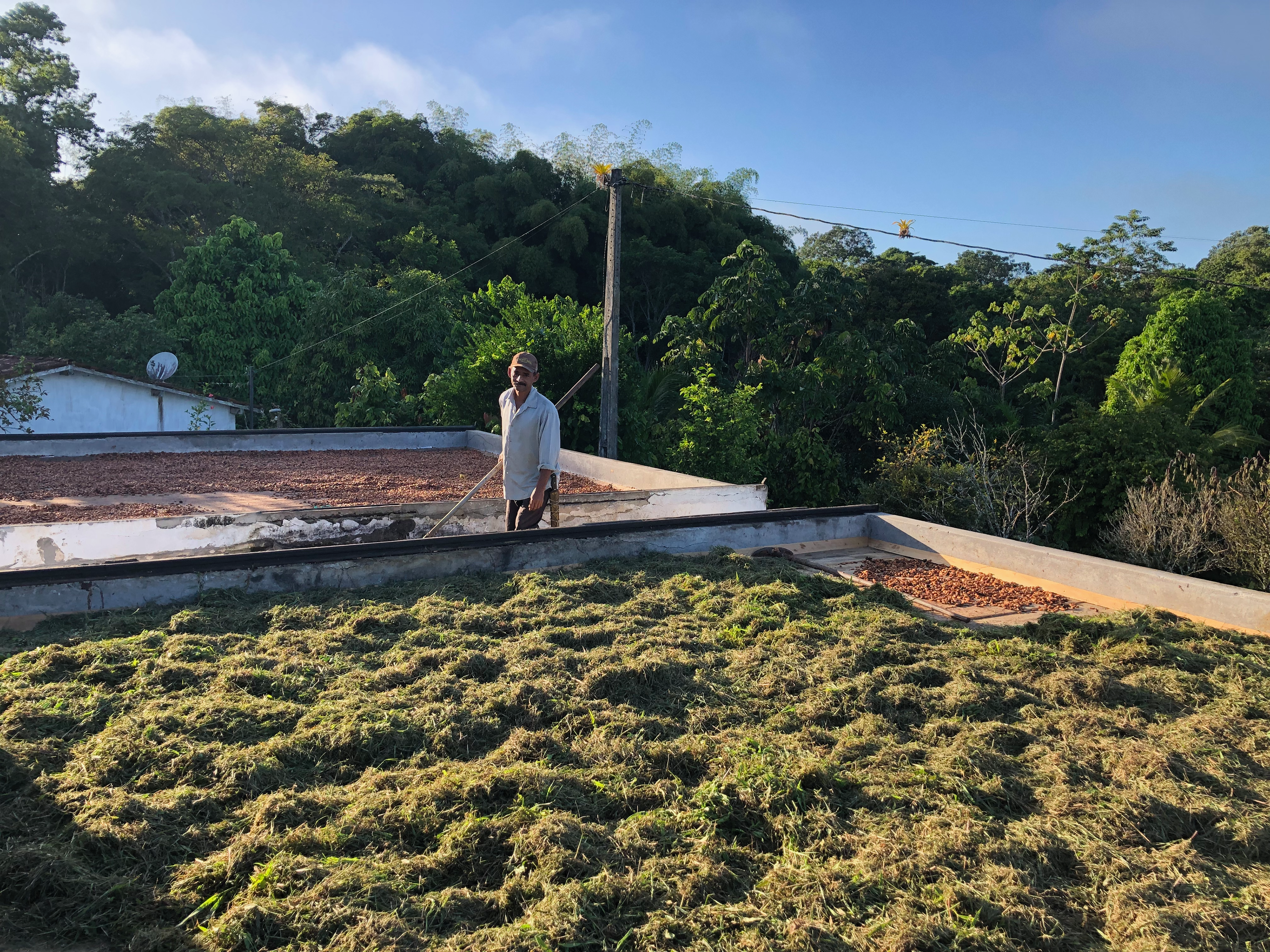 Usamos estruturas de barcaças, culturalmente utilizadas na região para secar amêndoas de cacau, para secar nossa palha utilizada nos nossos adobes.