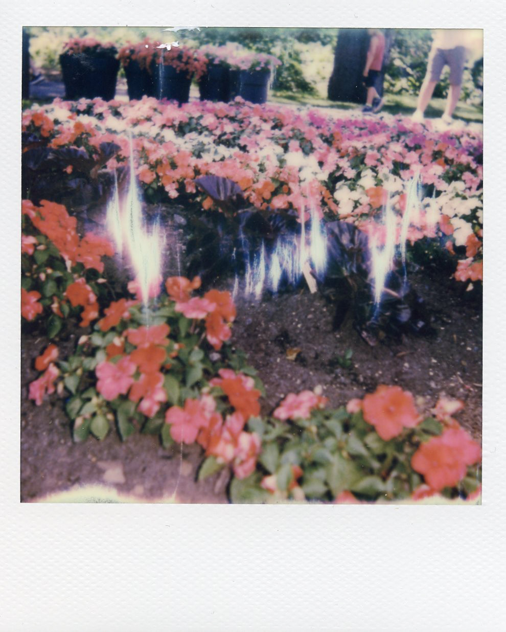 Montreal's Botanical Garden