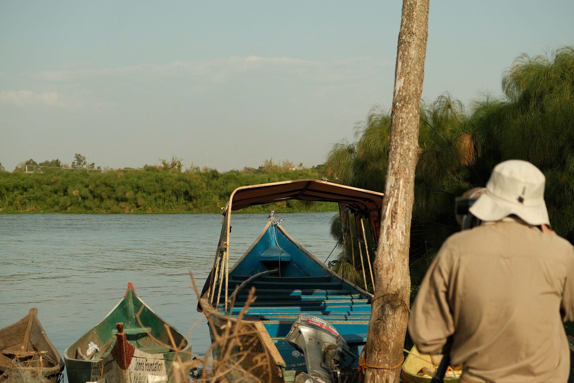Birds along the shores of Lake victoria are a delight for wildlife photographers