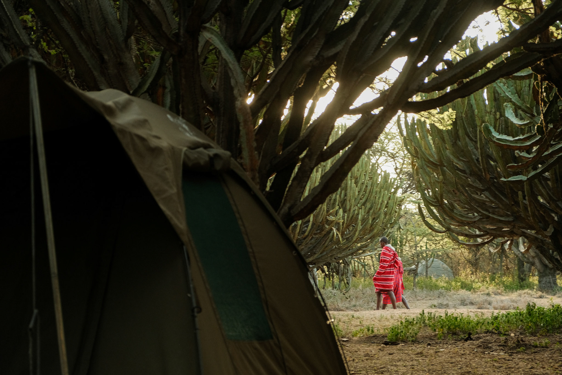 Earling in the morning, Maasai guards are doing rounds around the campsite.