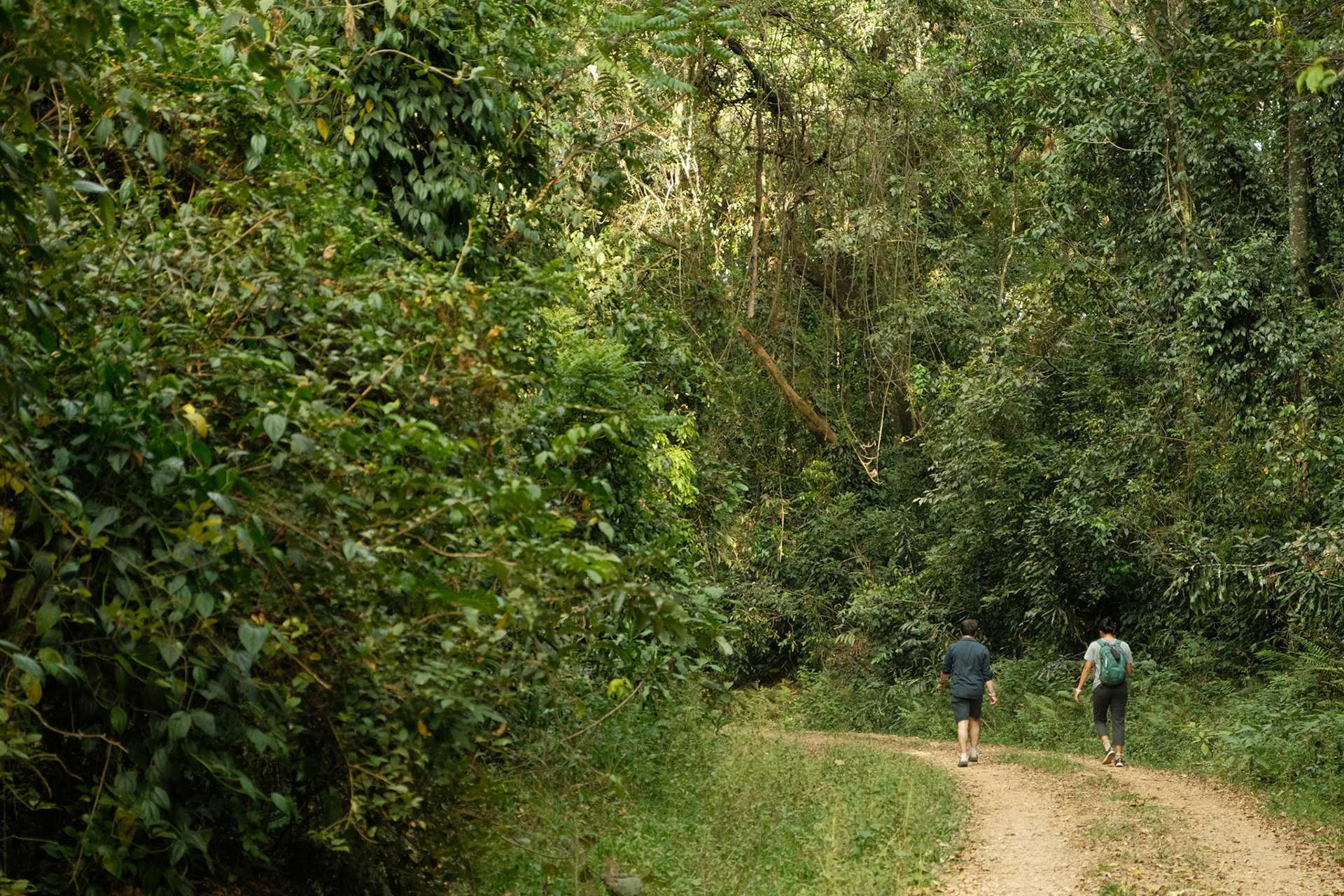 AFSS students exploring the trails during free time