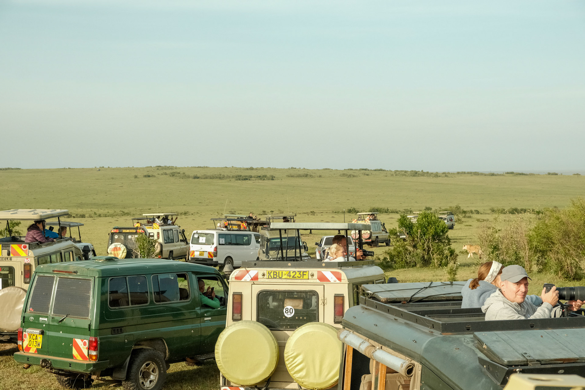 Traffic in the reserve