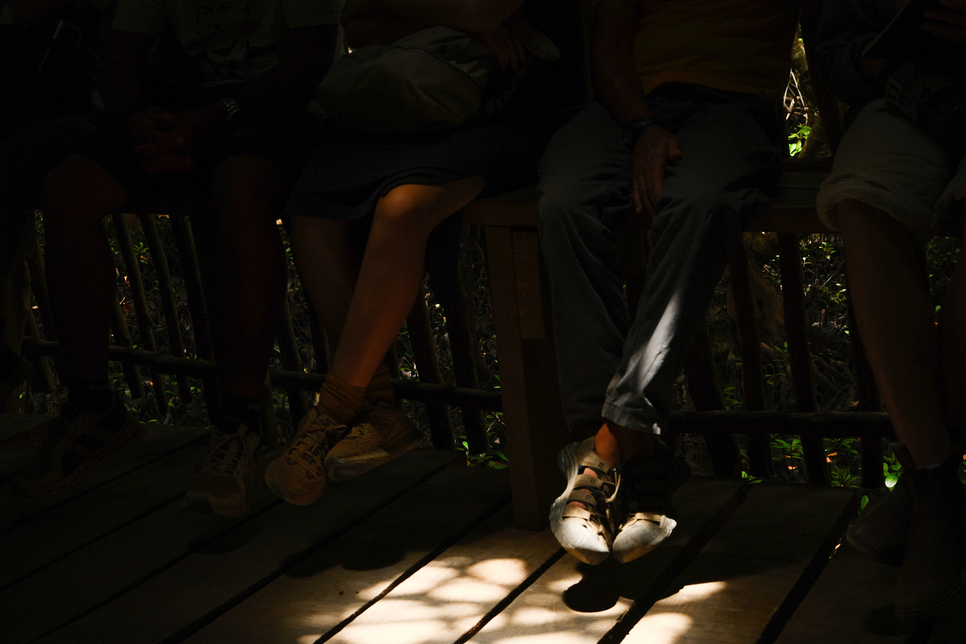 AFSS student having a lecture in the Mangrove forest