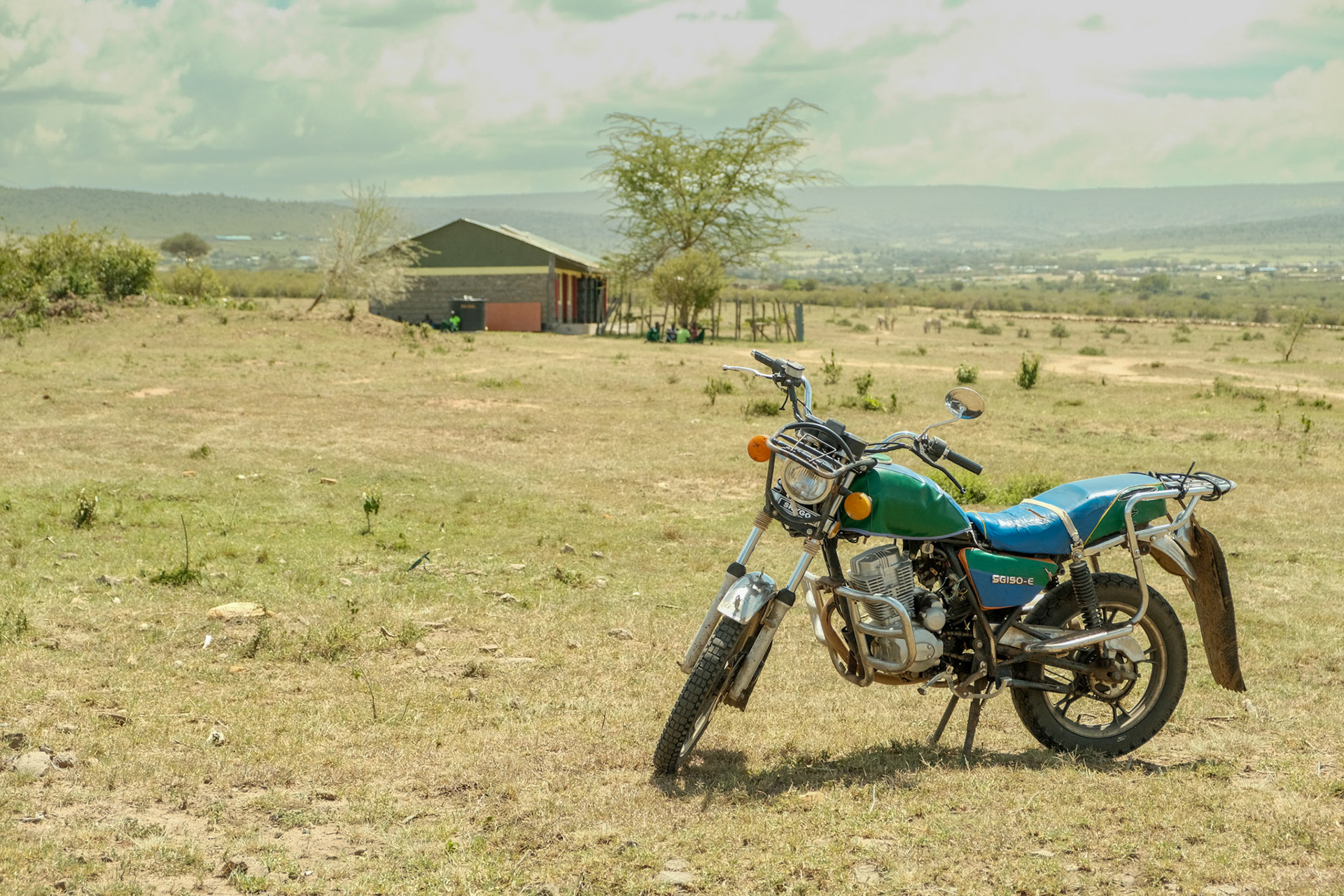Nashulai Maasai Conservancy