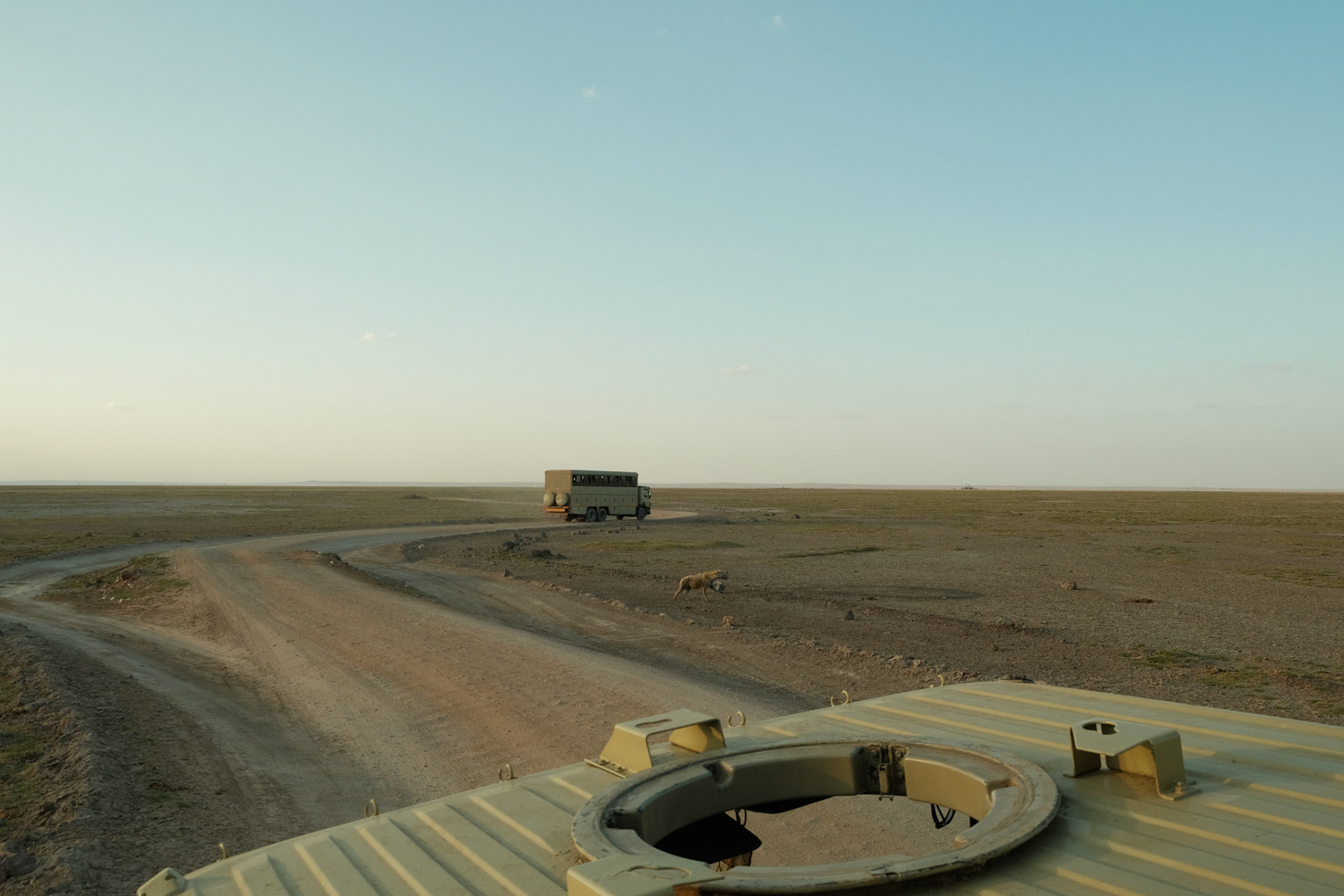 Hyena crossing