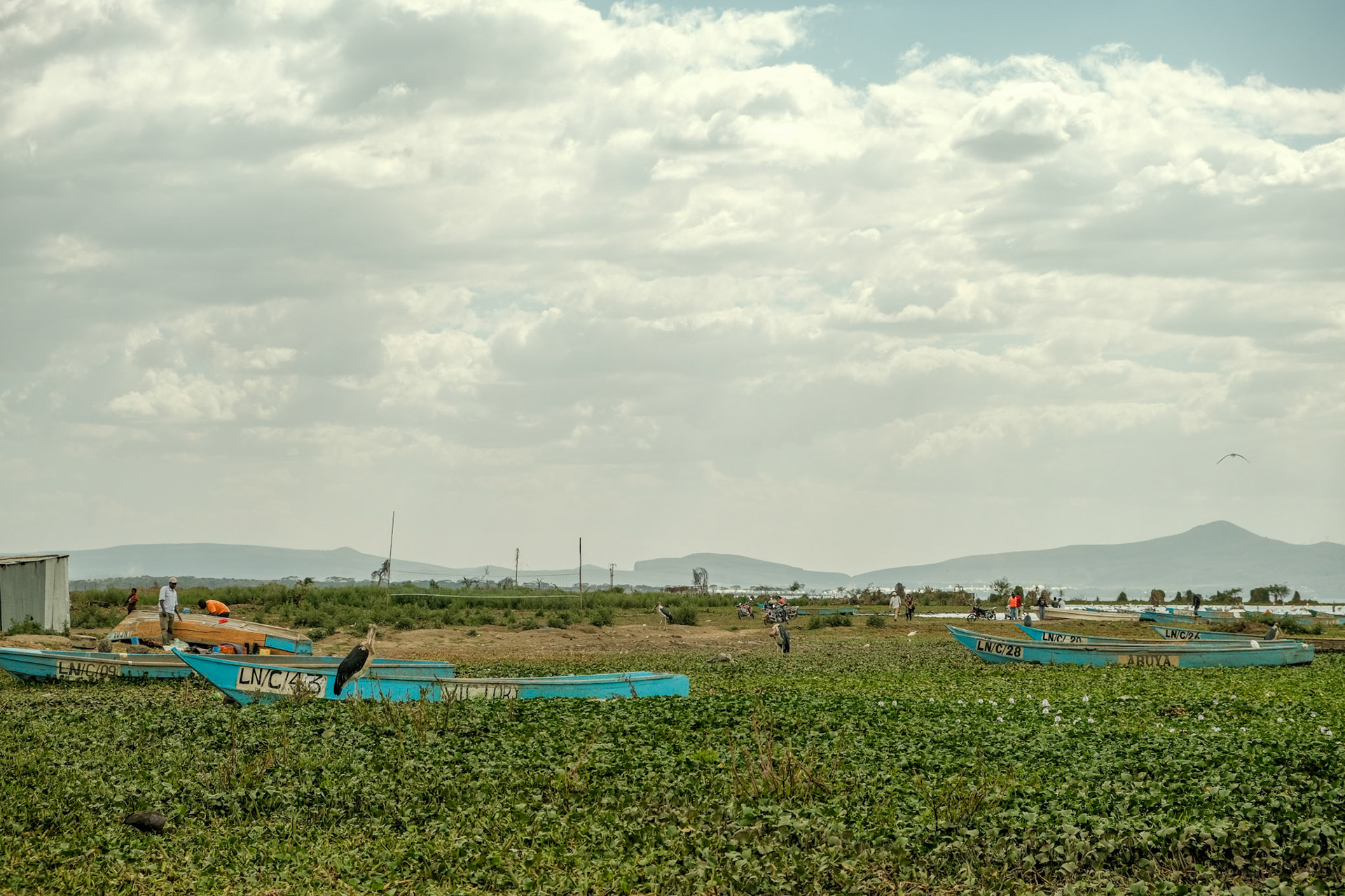 fish landing beach with busy fishermen, traders, transporters and boat repair crew