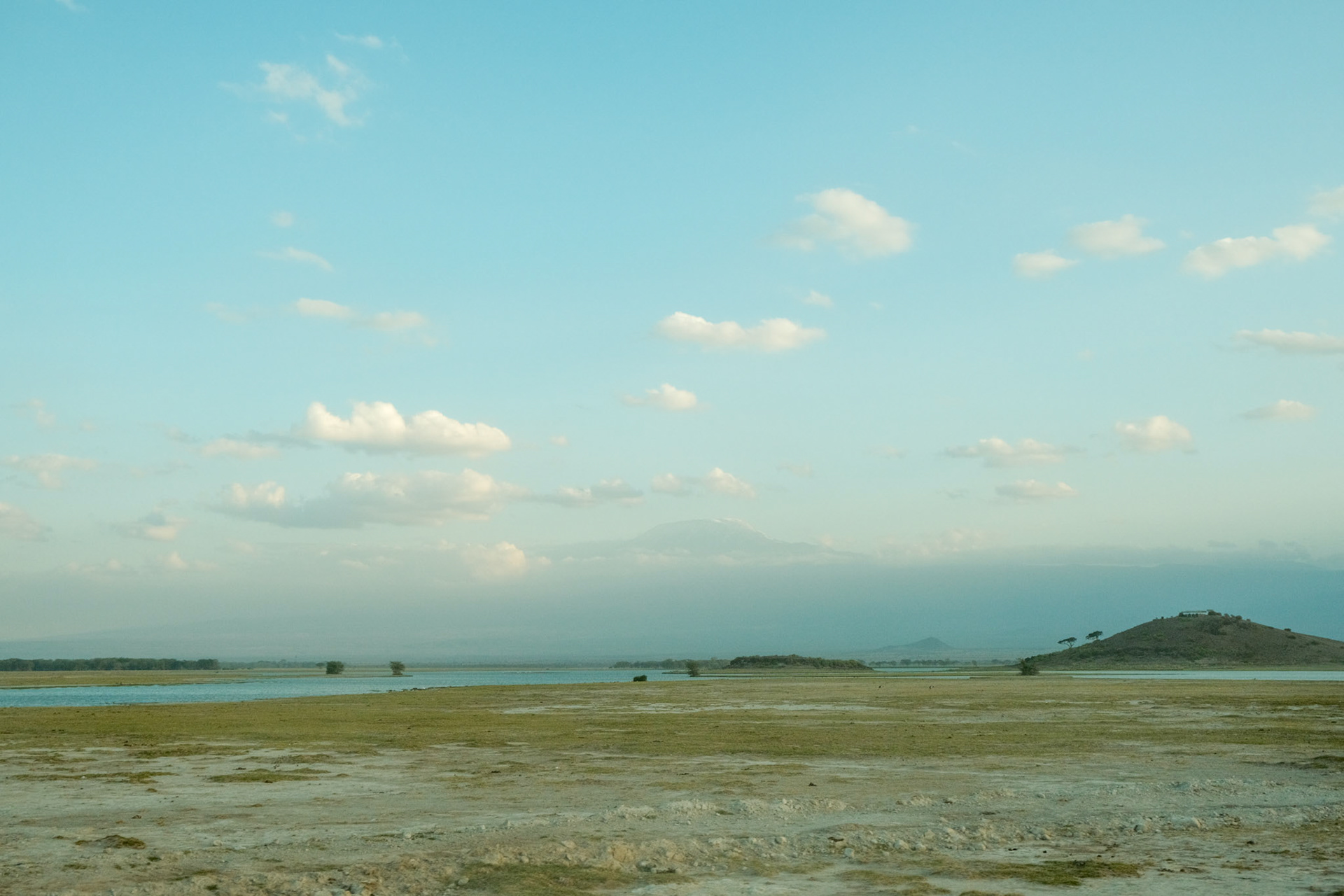 wildebeAmboseli National Park