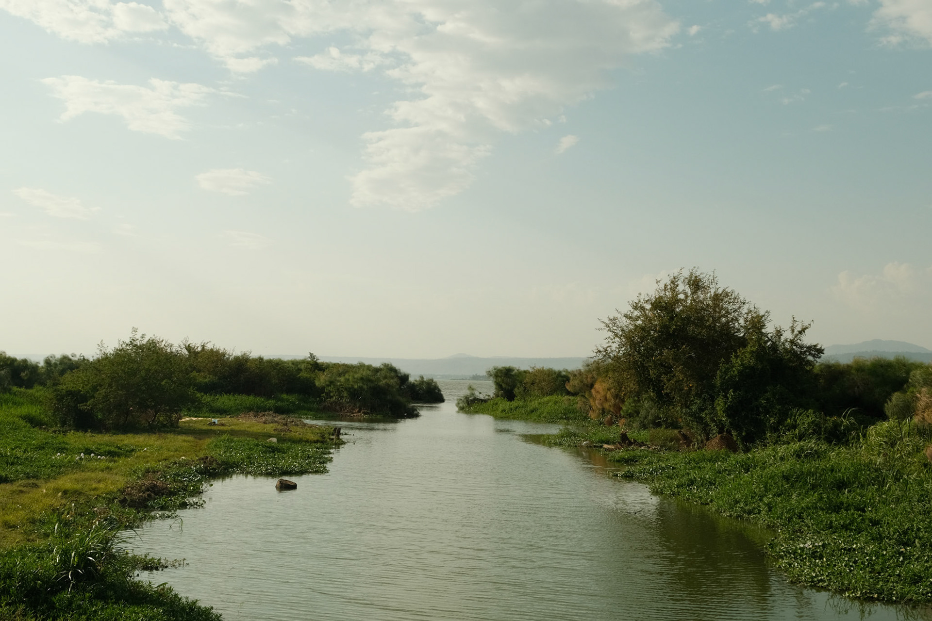 A stream that flows into Lake Victoria