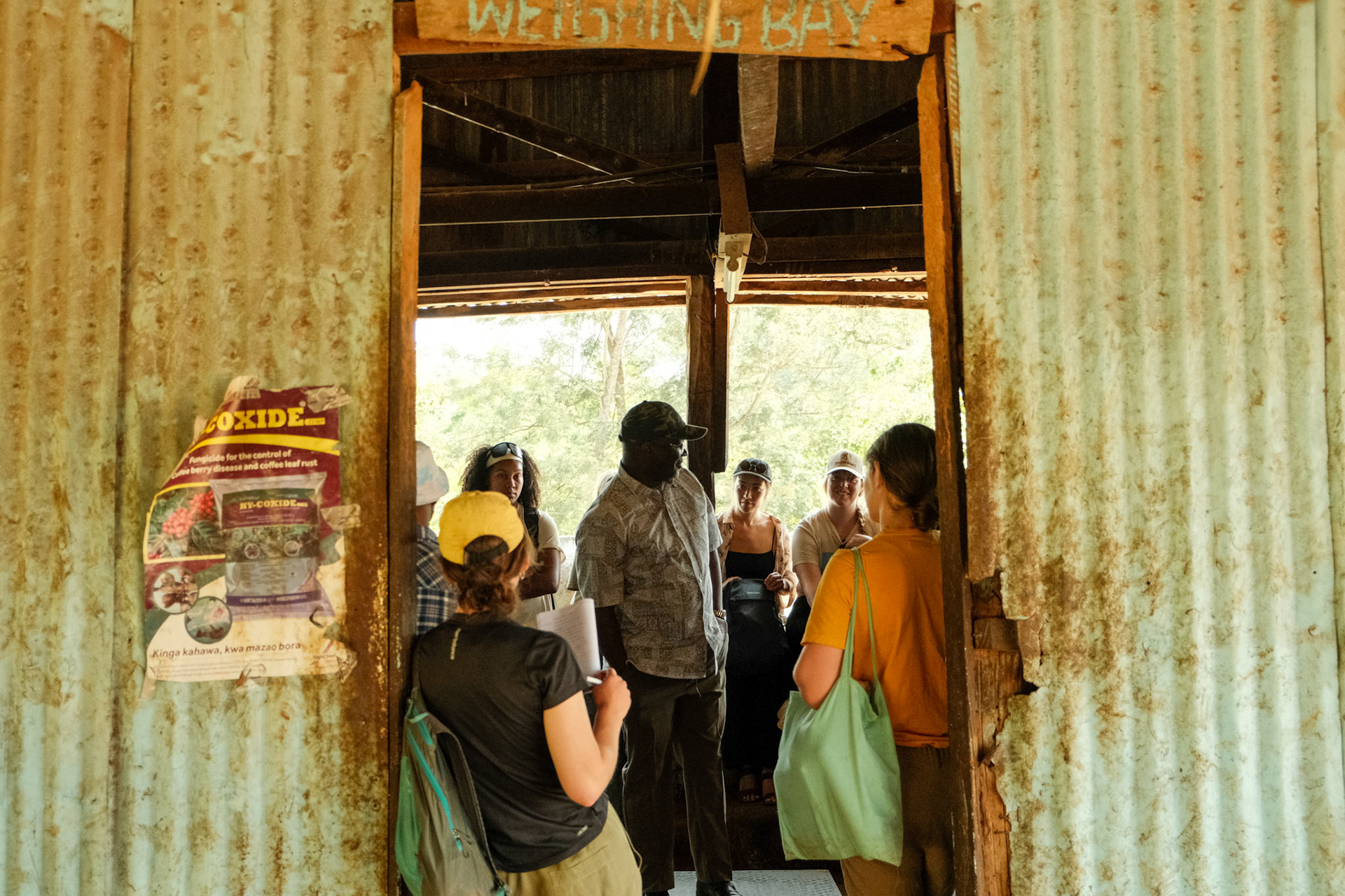 Lecture on coffee processing