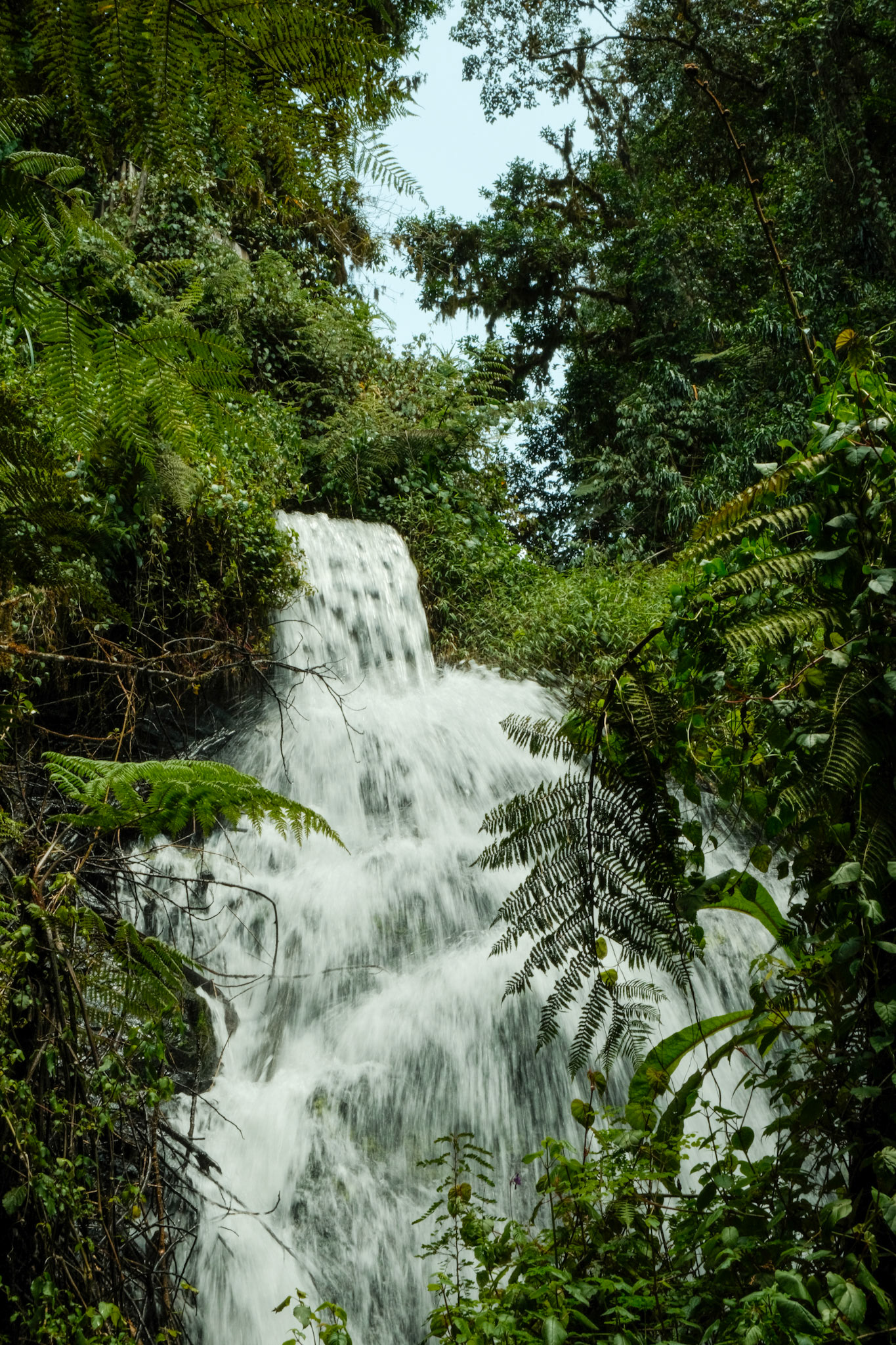 Waterfall