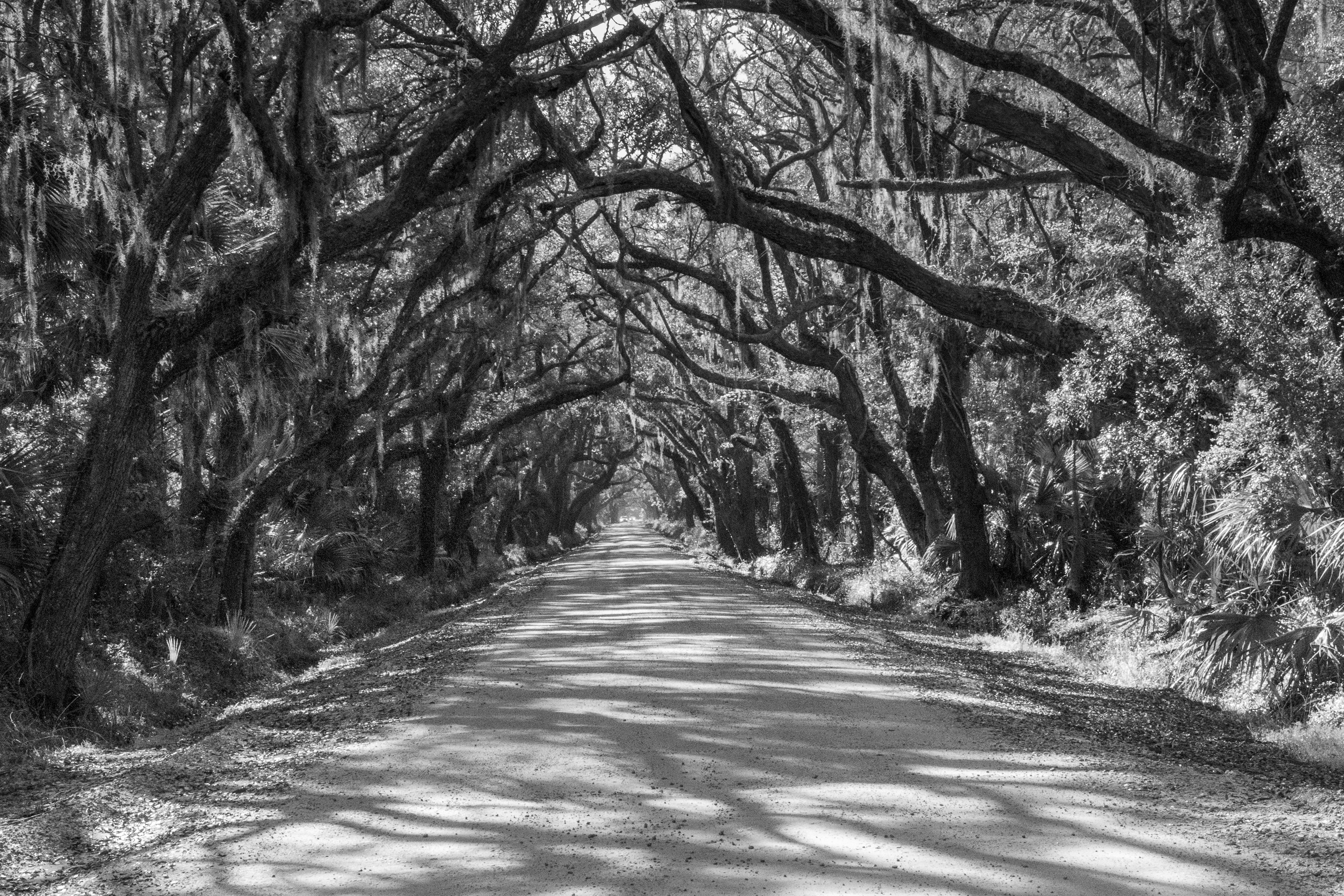 Botany Bay
