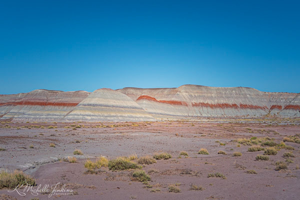 The Painted Desert