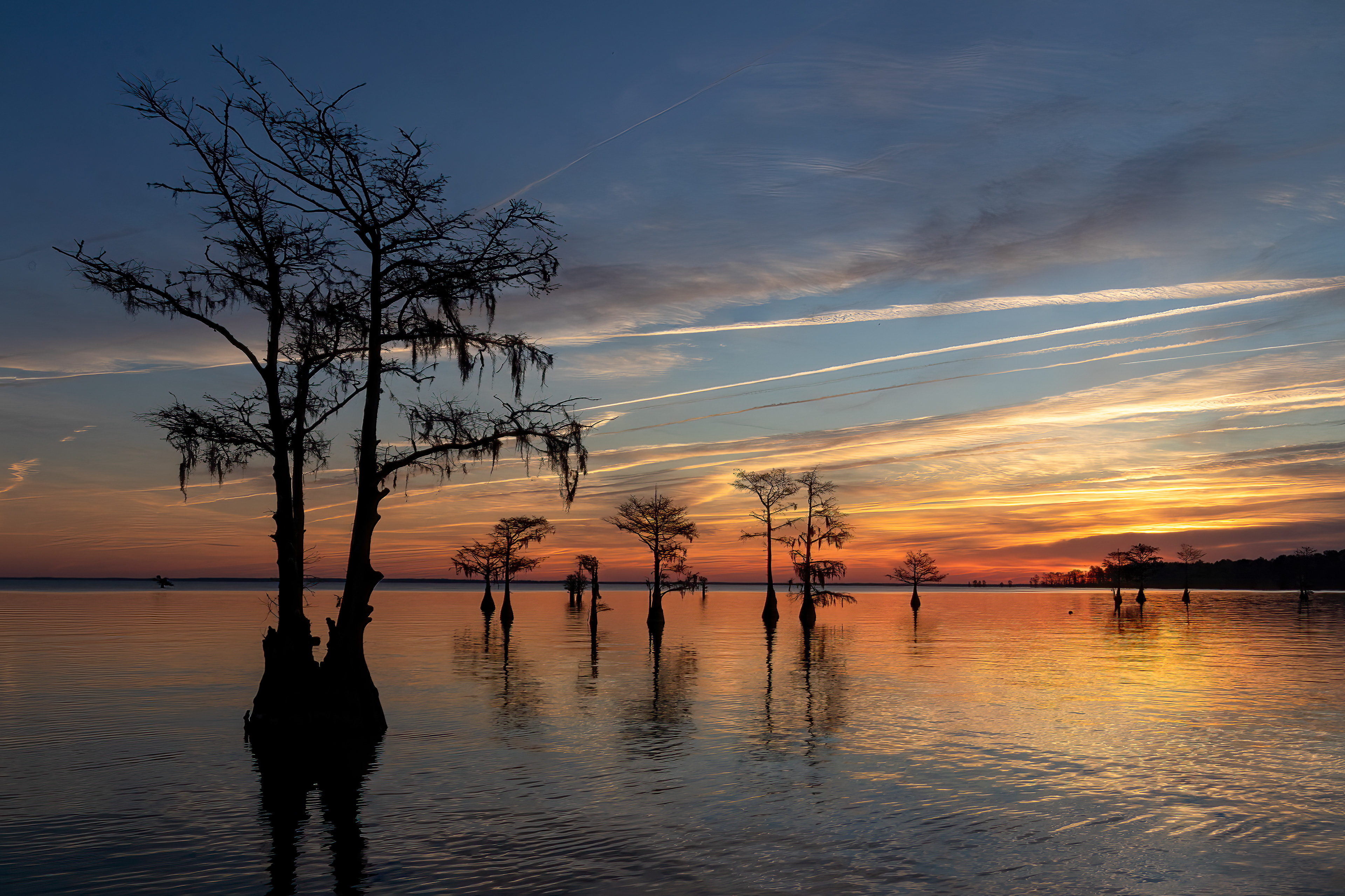 Lake Moultrie