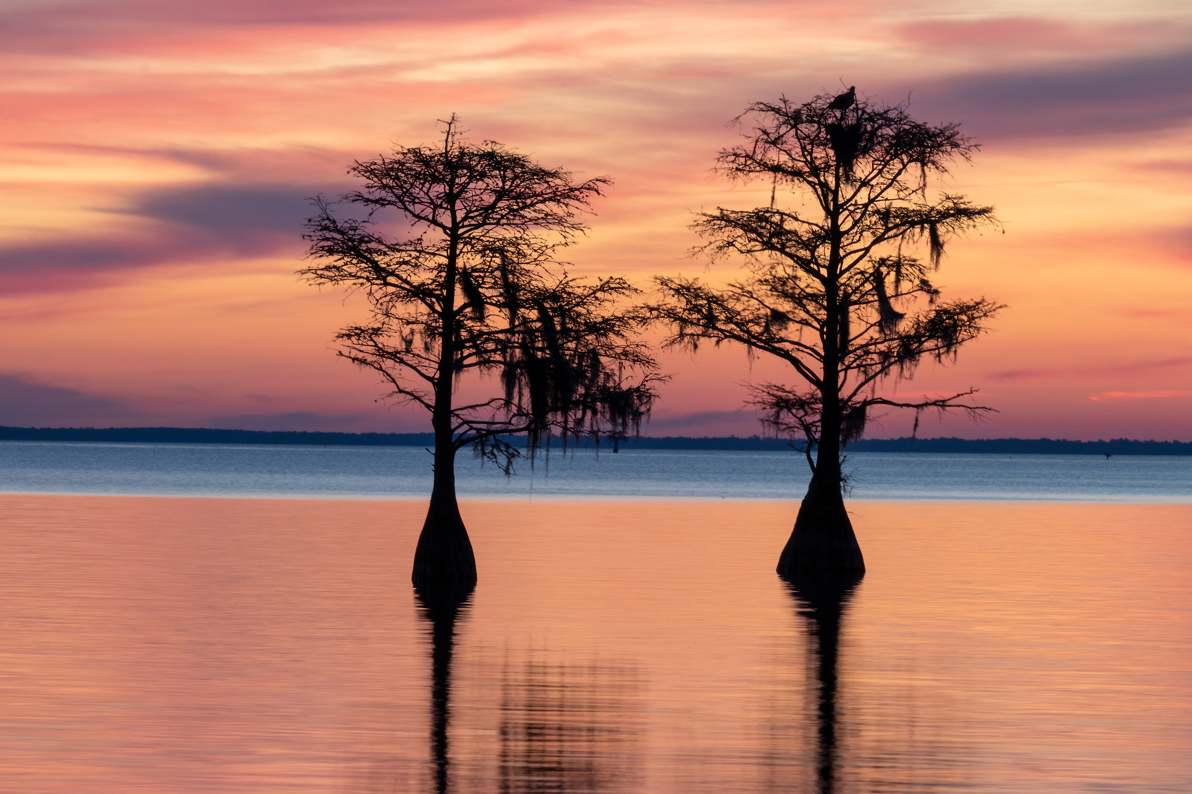 Lake Moultrie