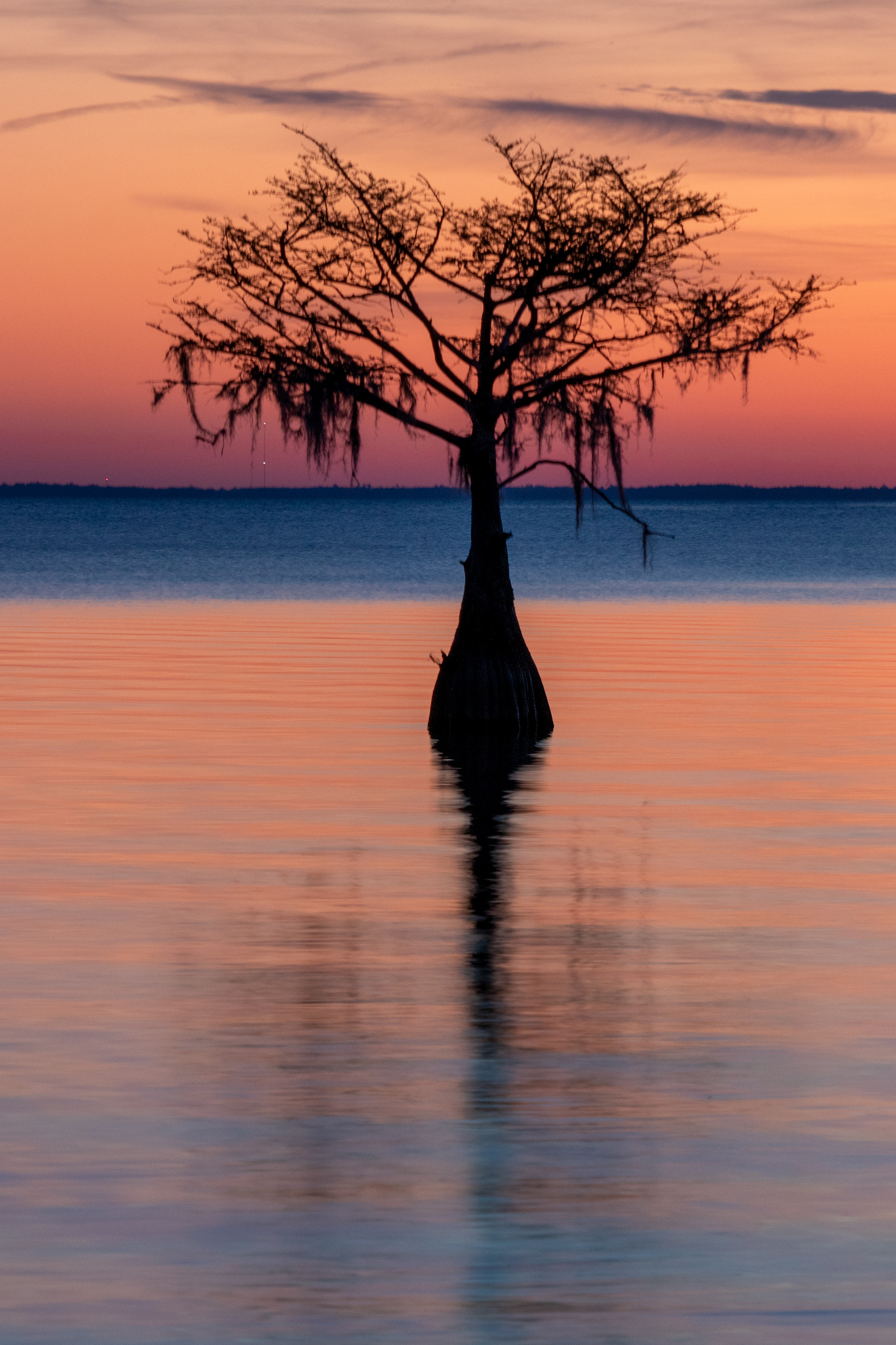 Lake Moultrie