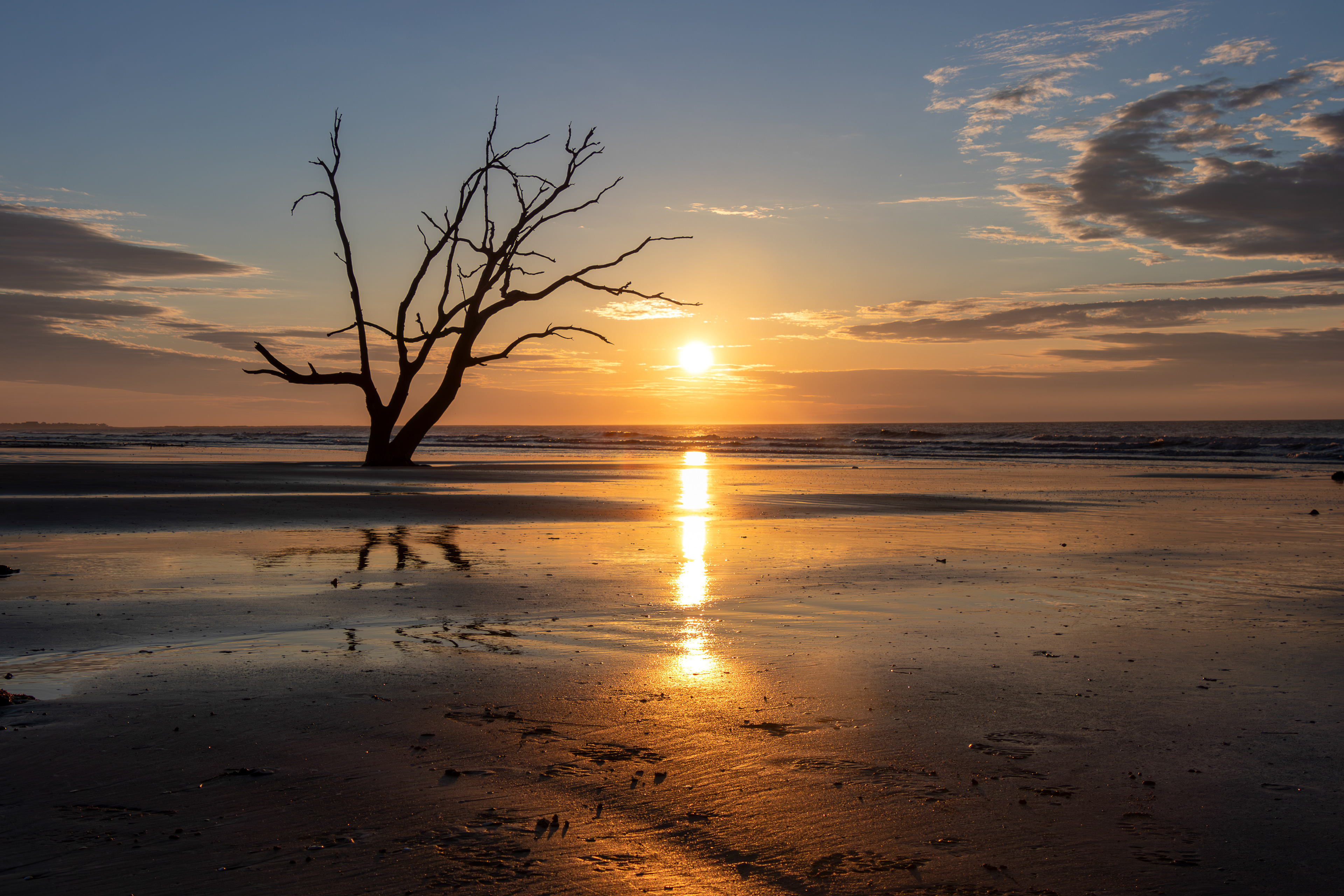 Botany Bay