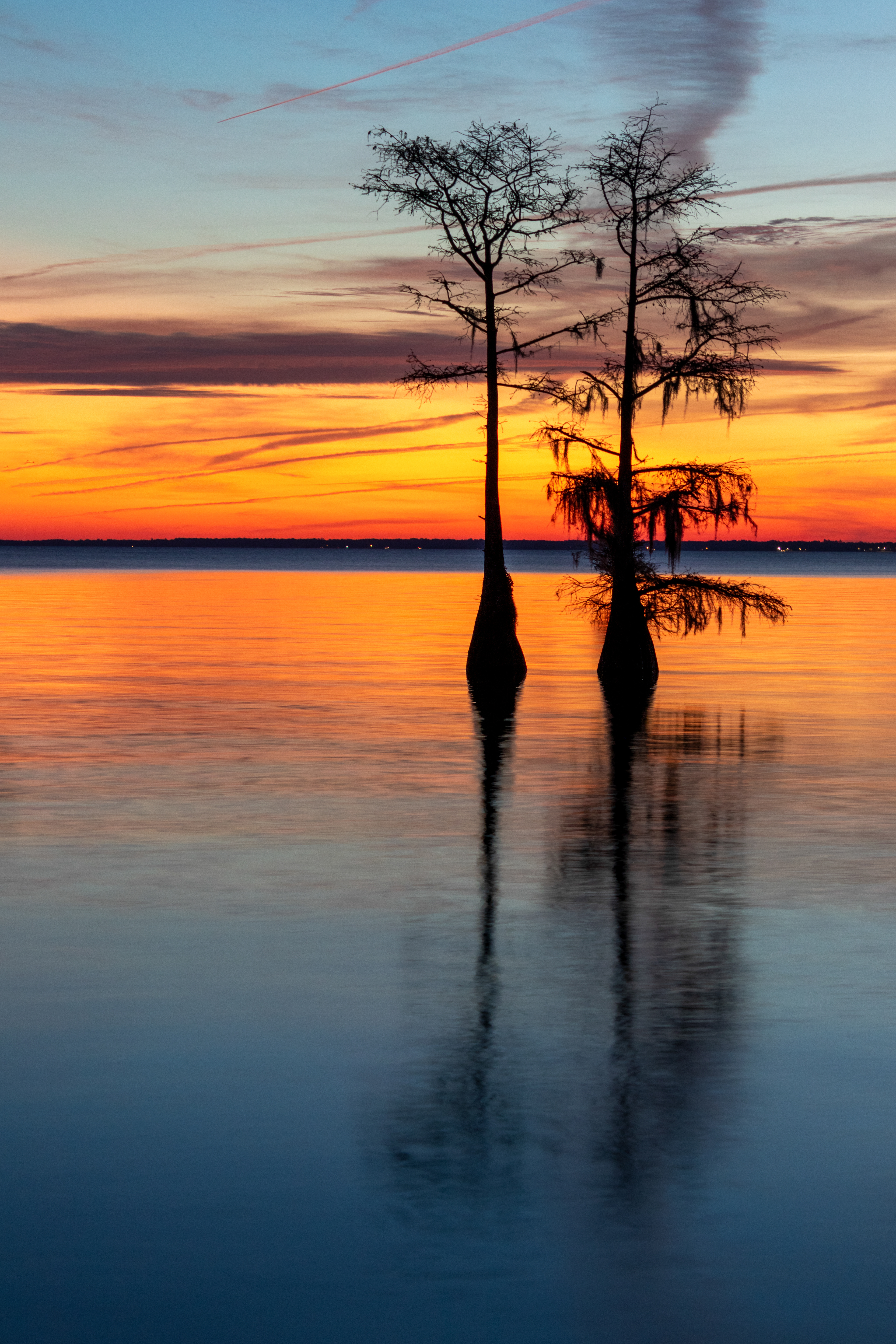 Lake Moultrie
