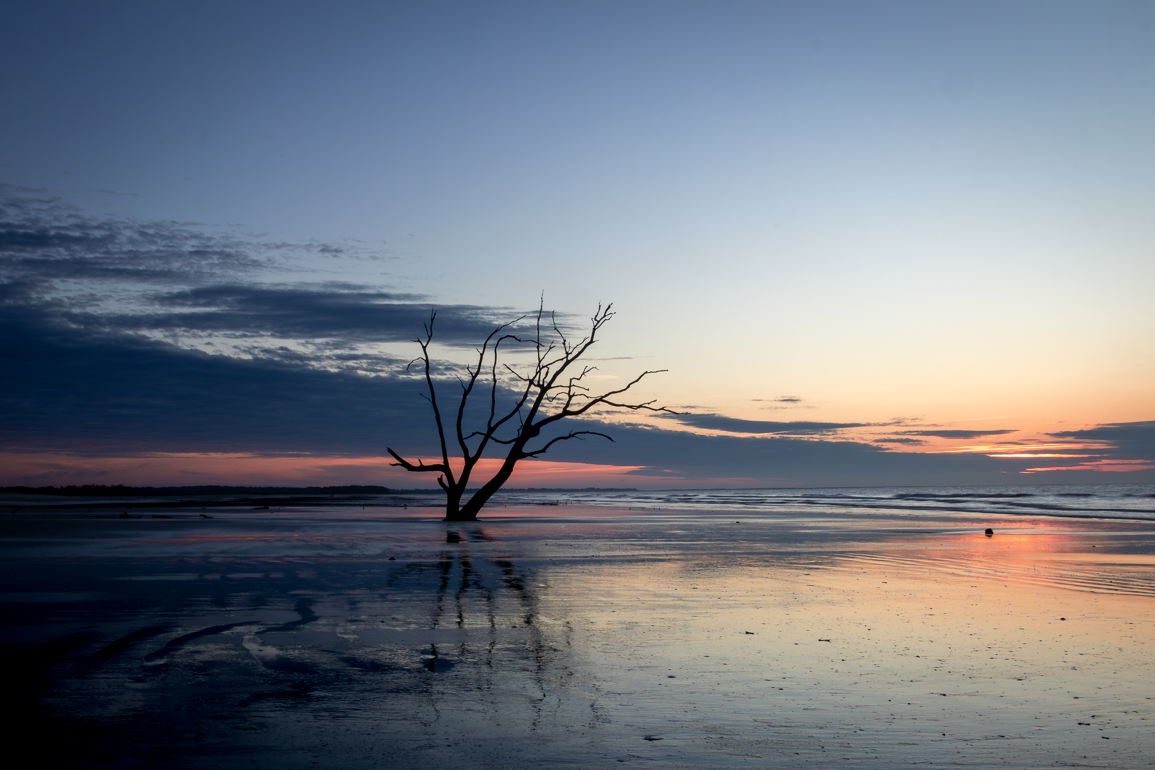 Botany Bay