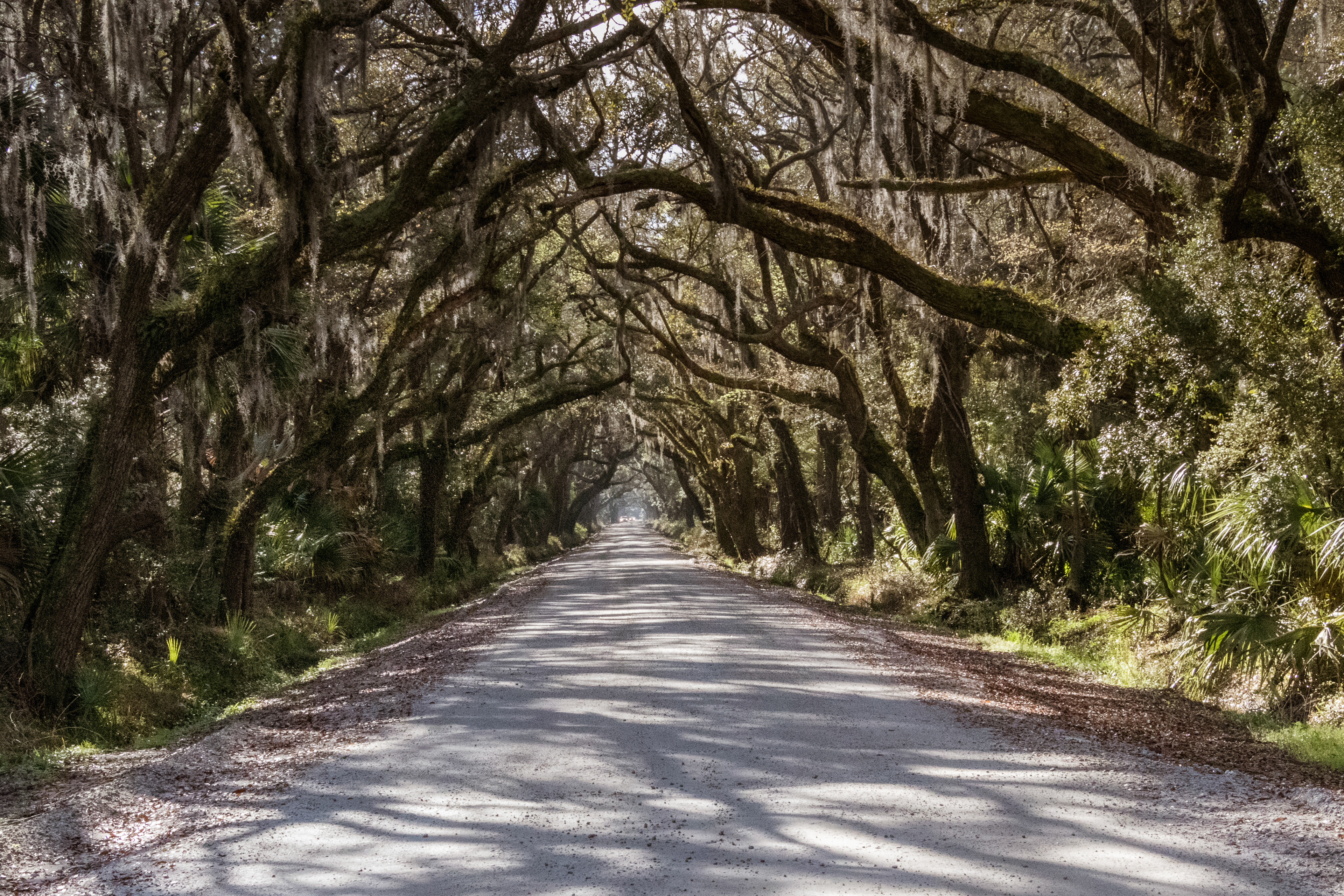 Botany Bay