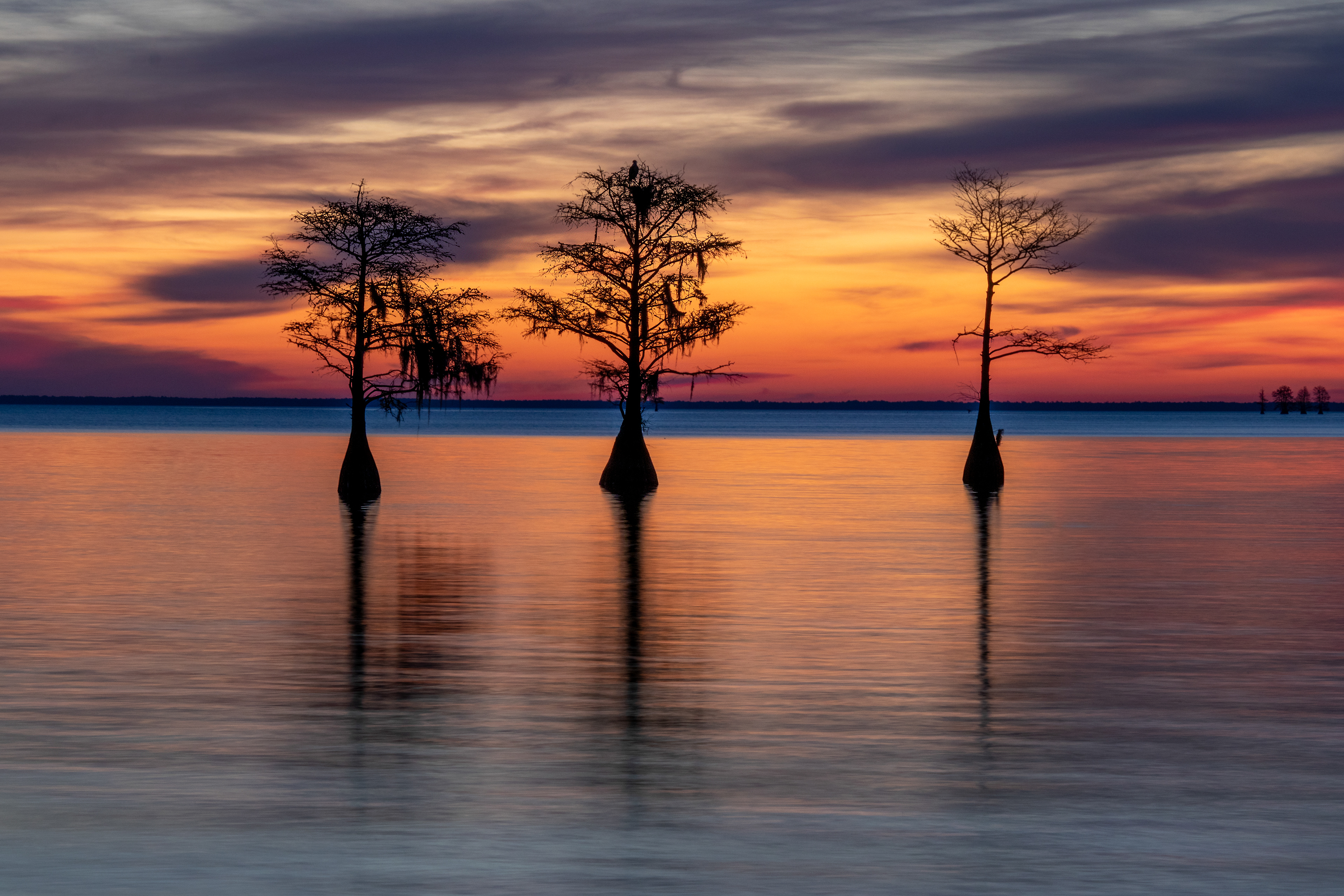 Lake Moultrie