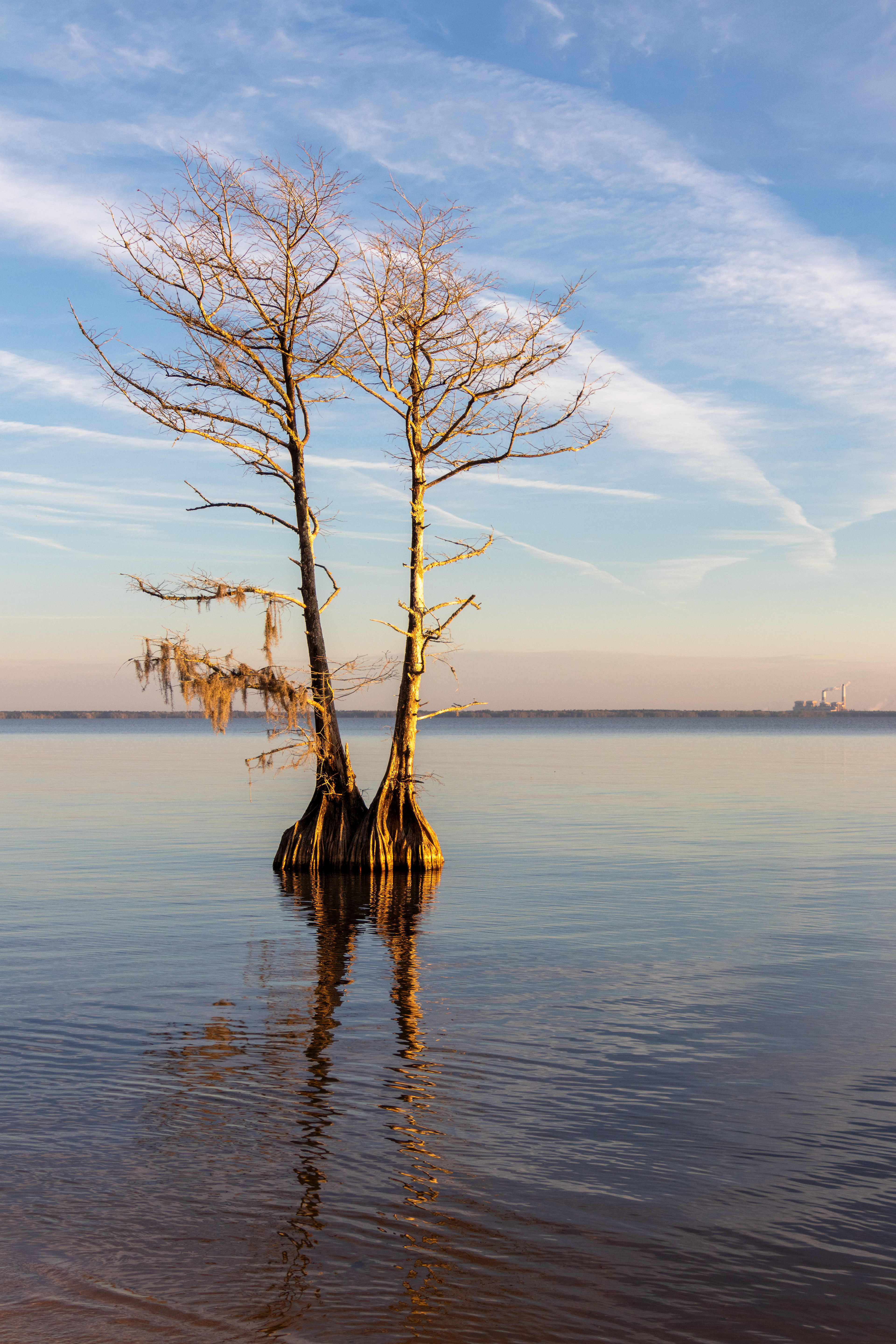 Lake Moultrie