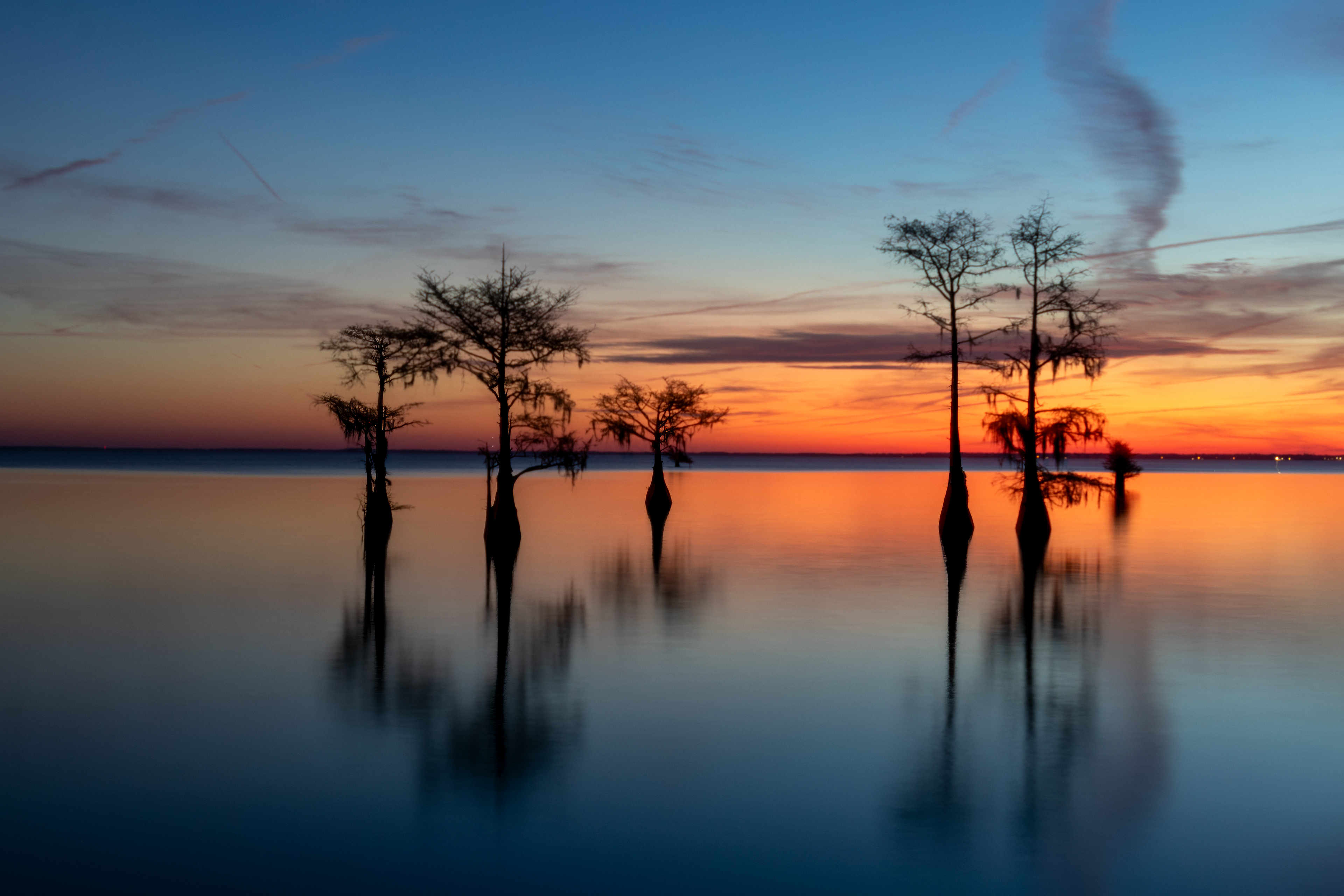 Lake  Moultrie