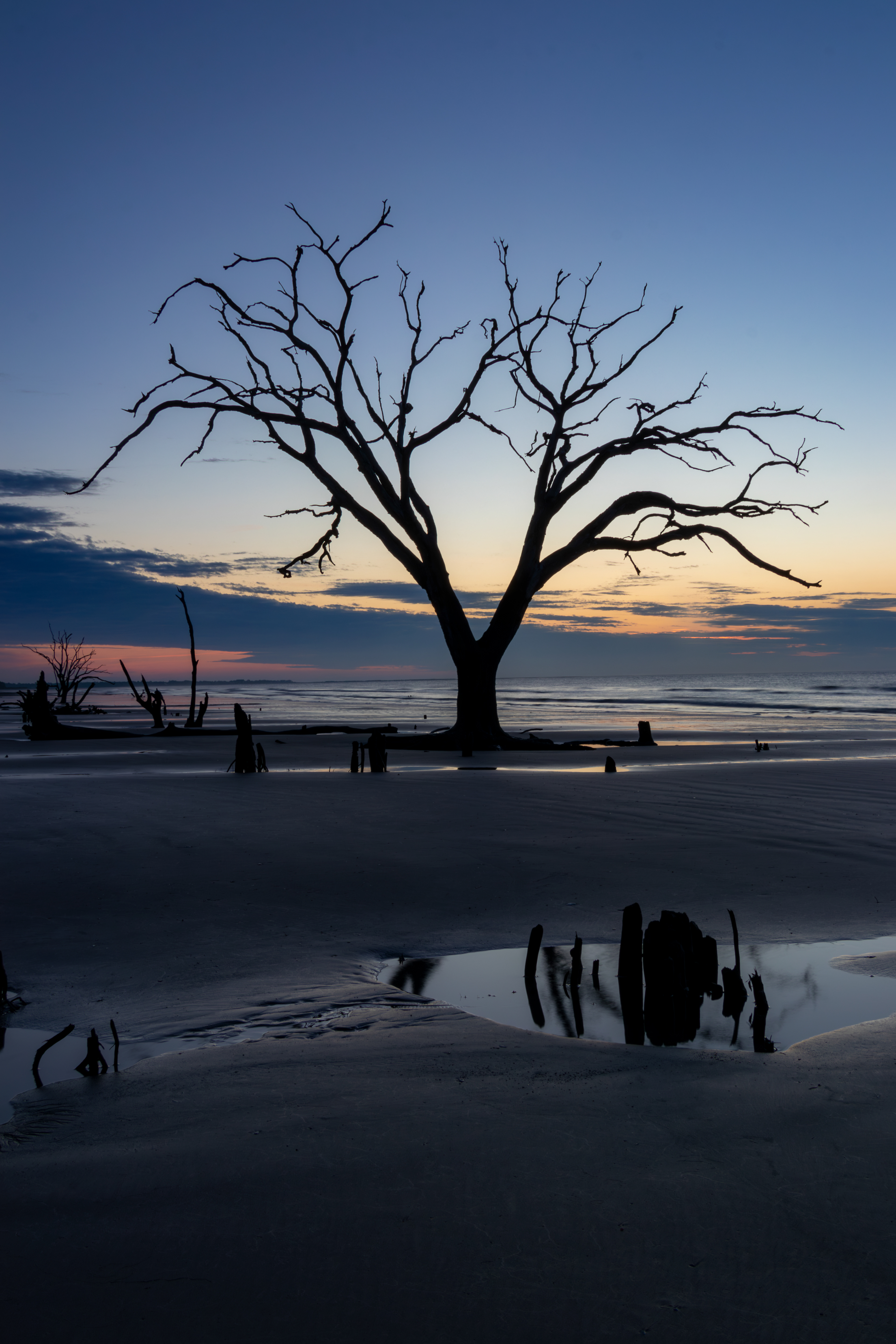 Botany Bay