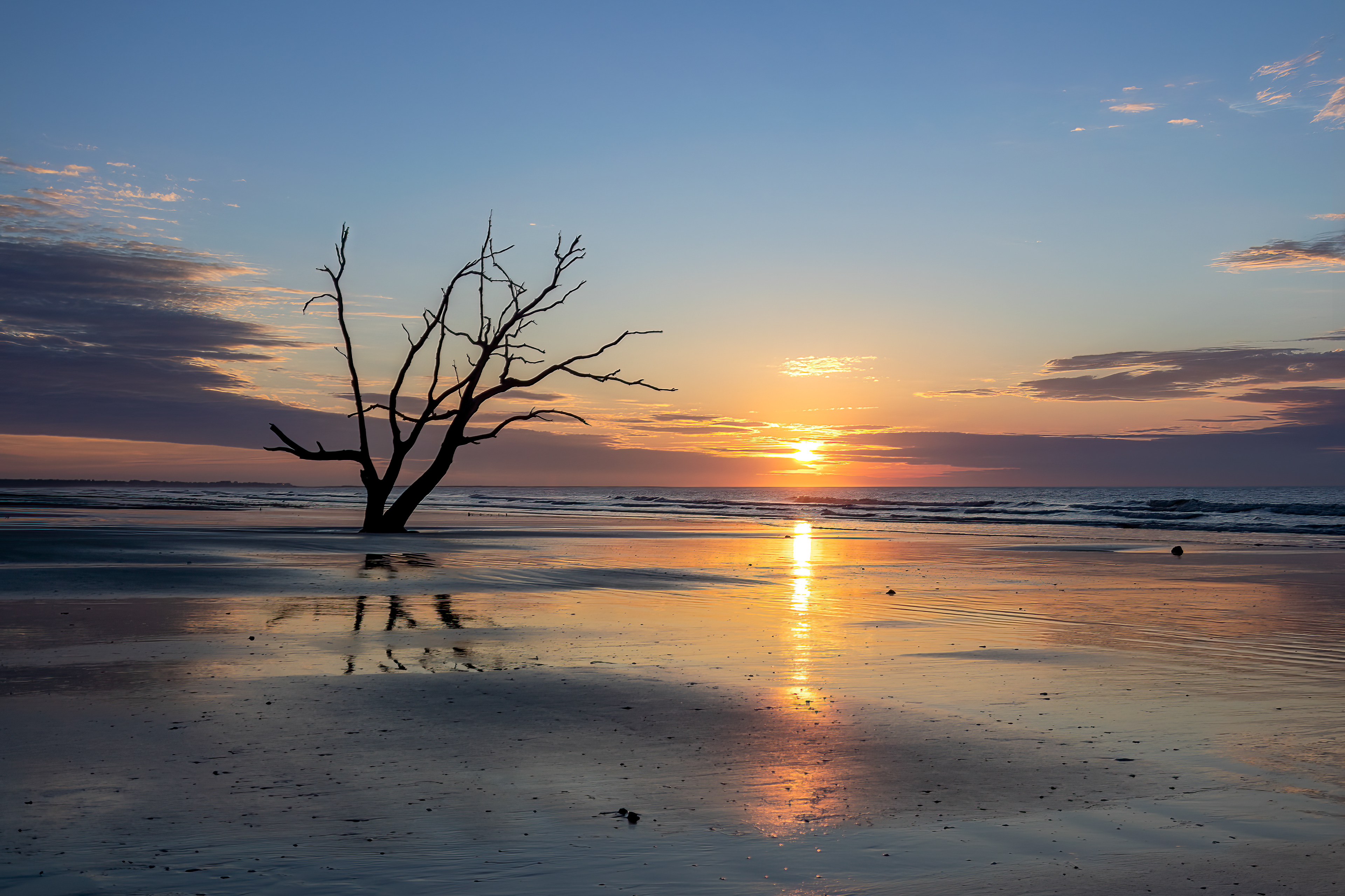 Botany Bay