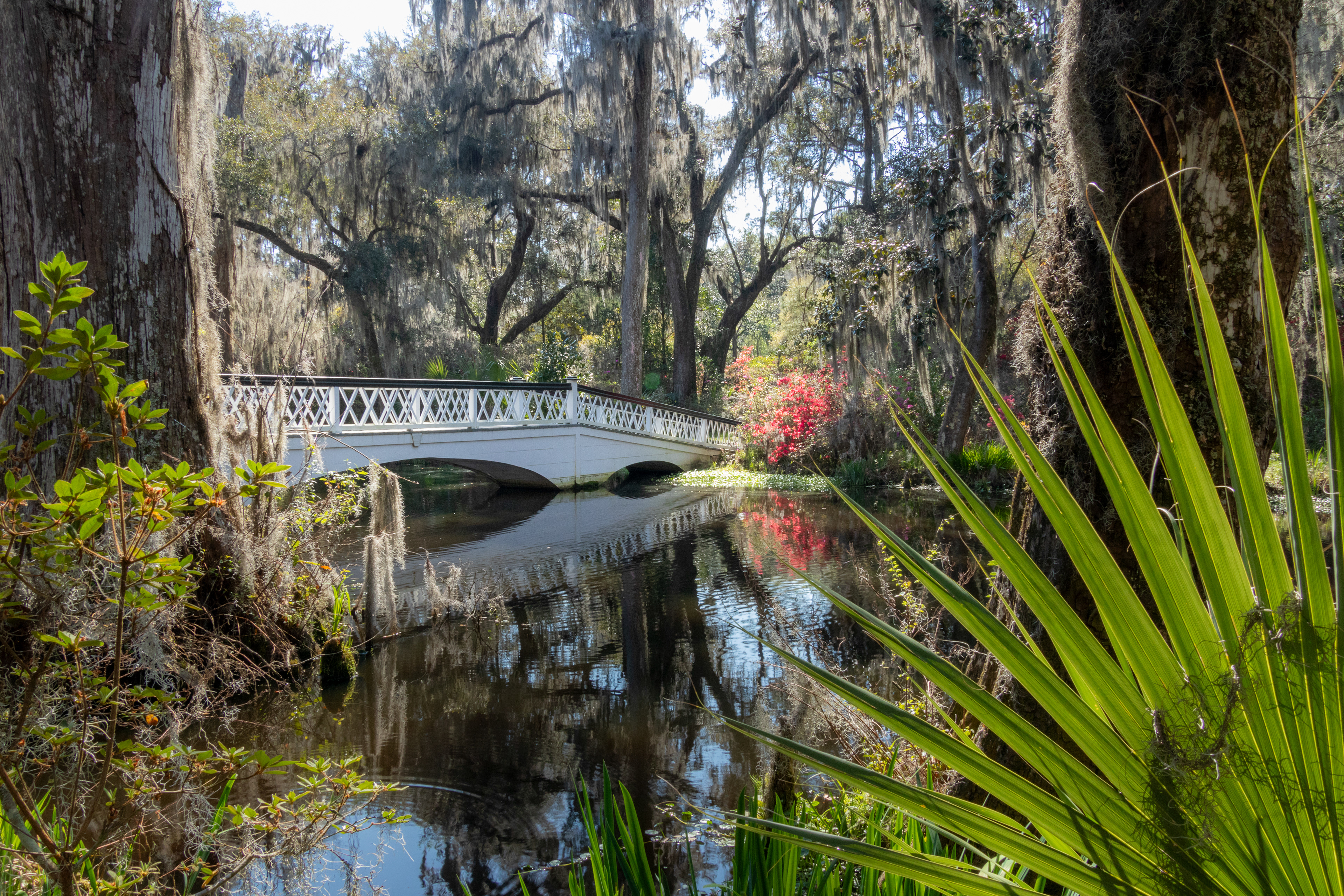 Magnolia Plantation
