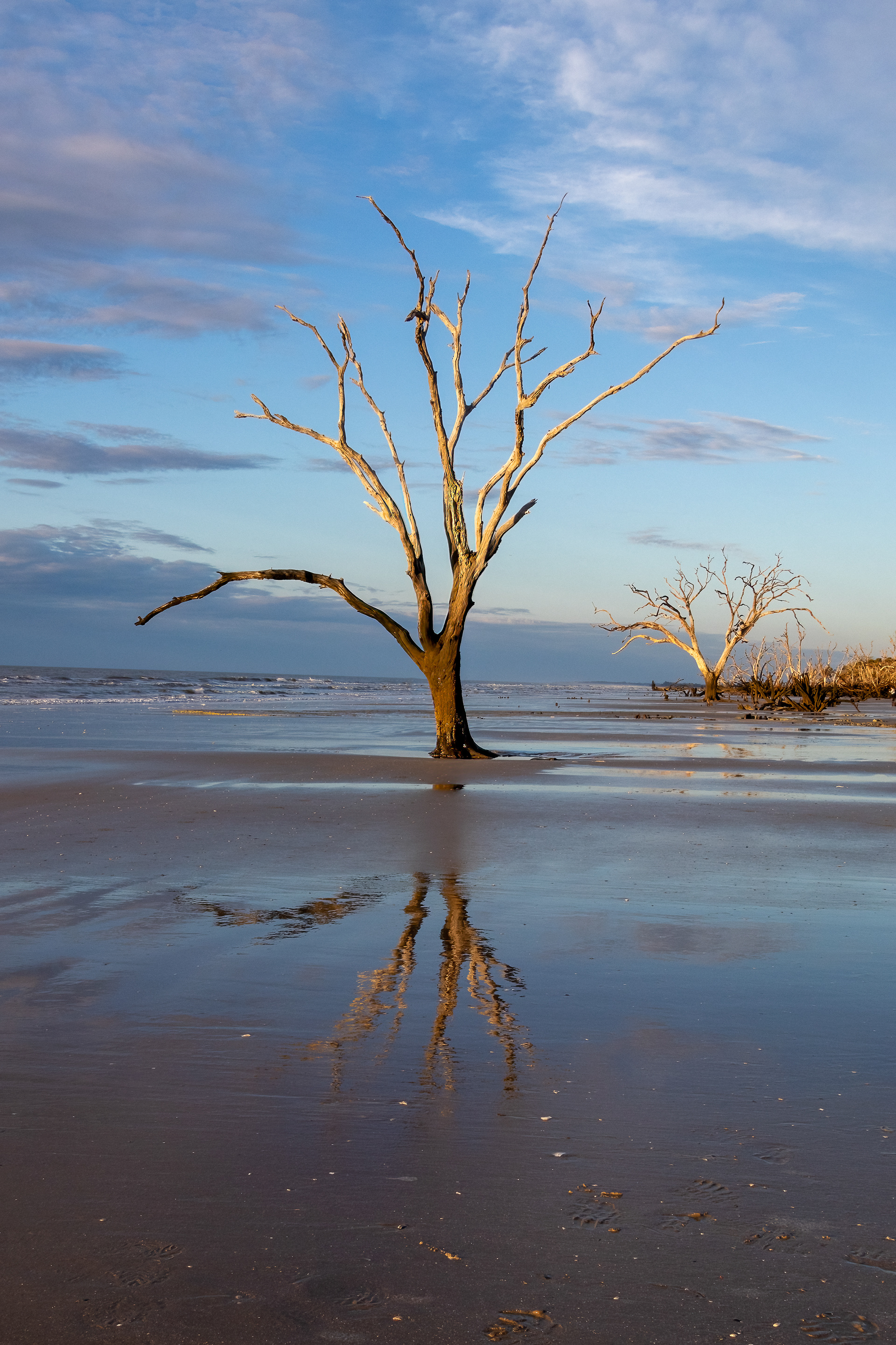 Botany Bay