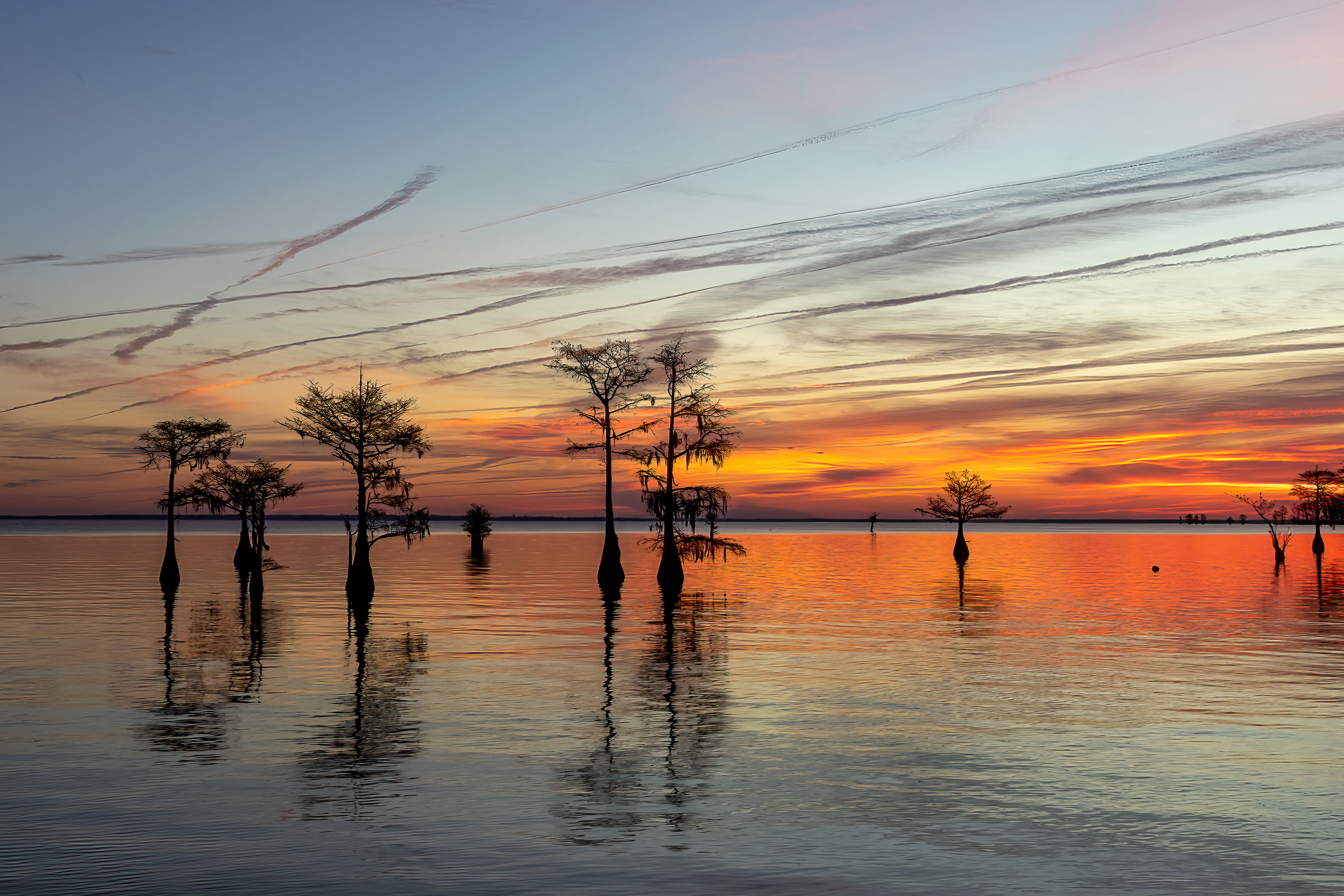 Lake Moultrie
