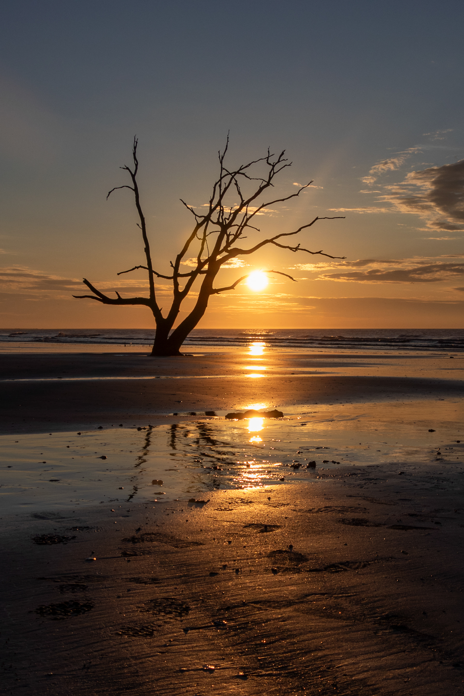 Botany Bay