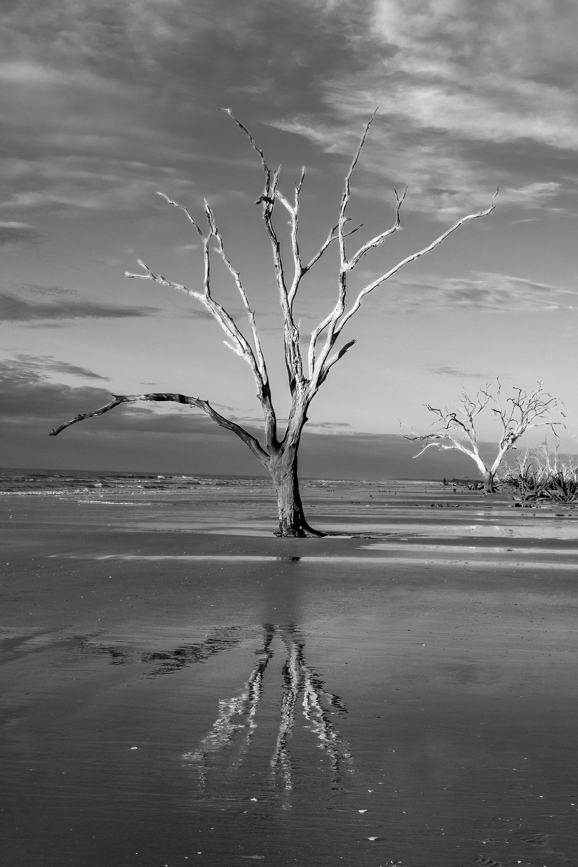 Botany Bay