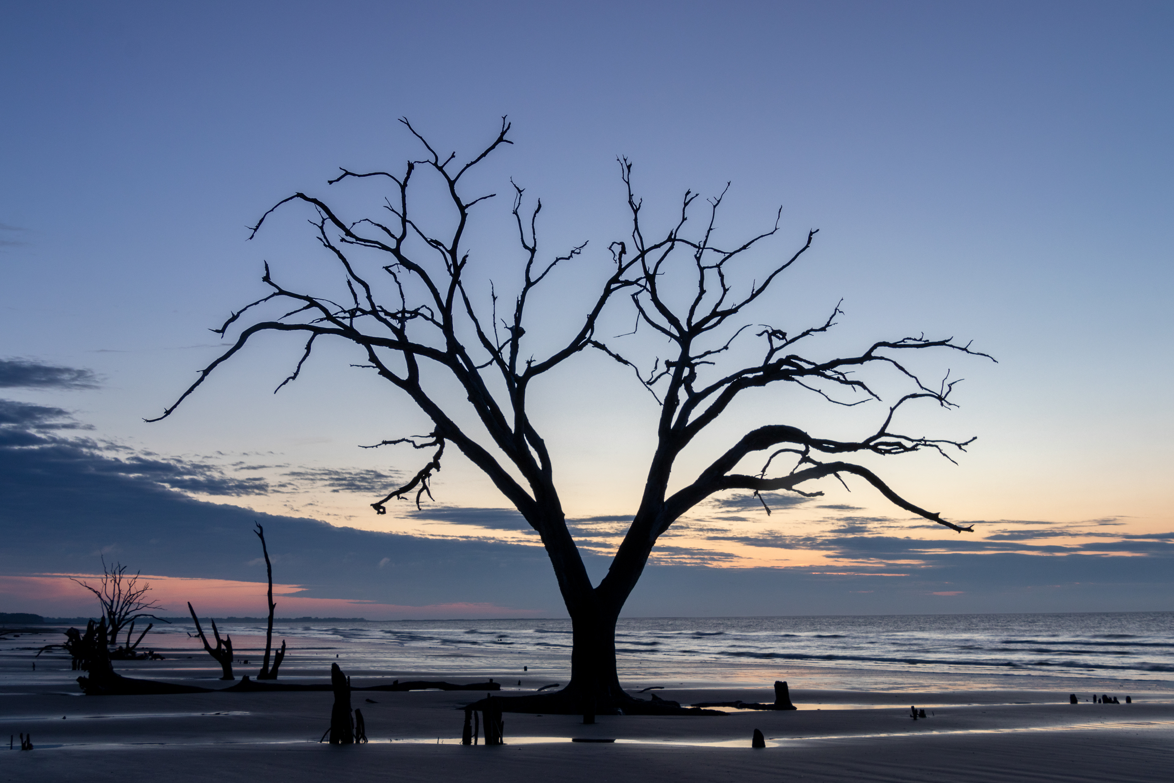 Botany Bay