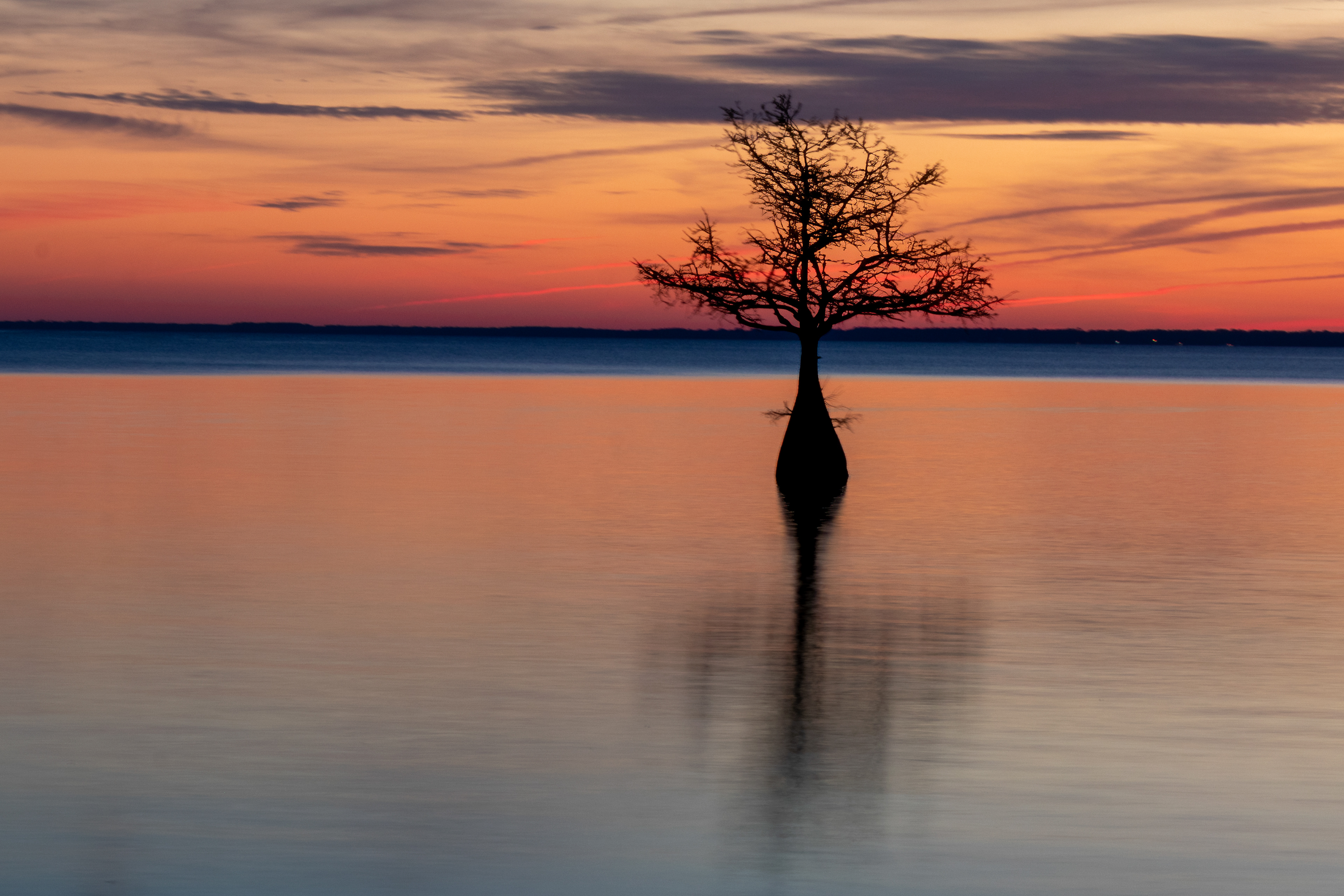 Lake Moultrie