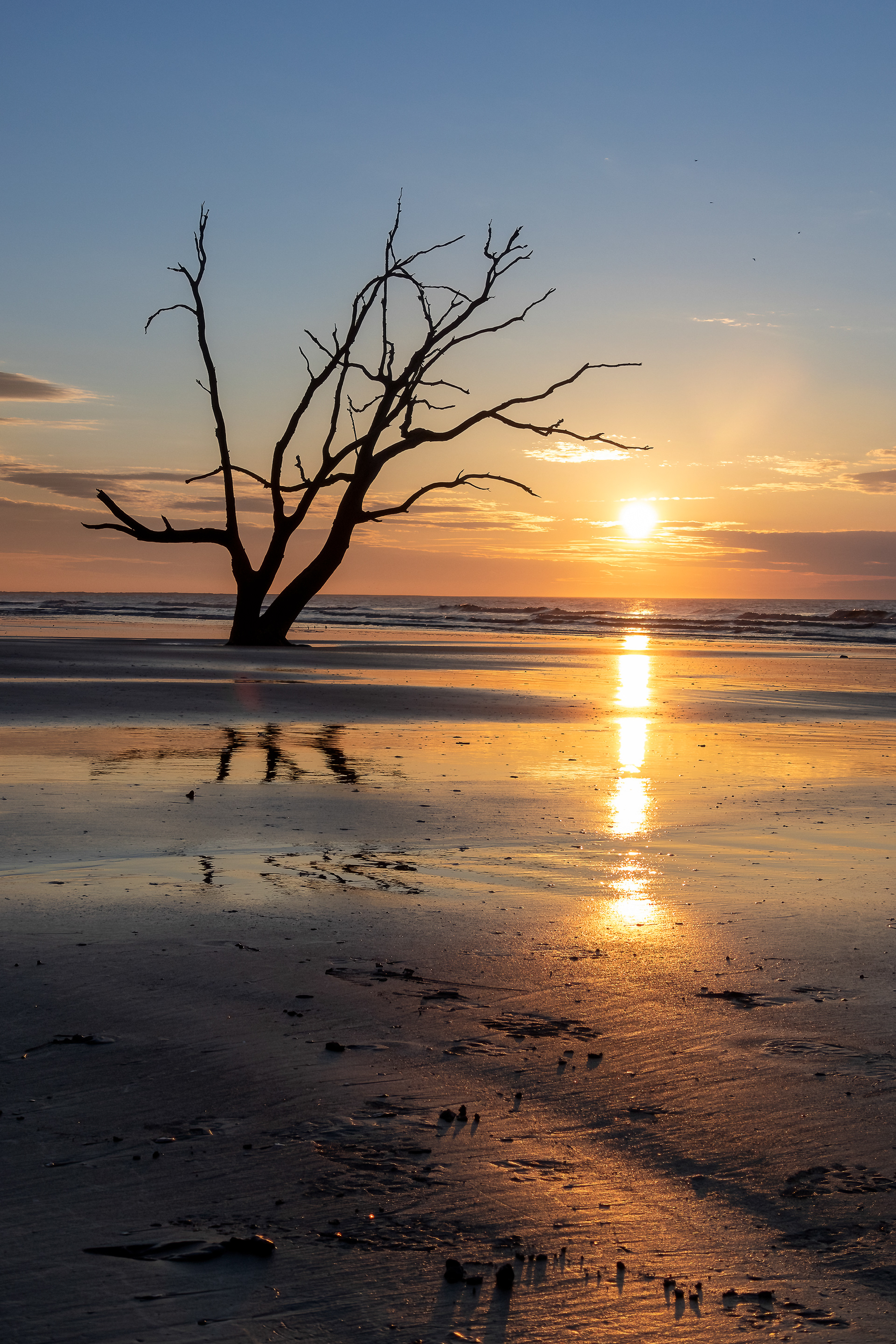 Botany Bay