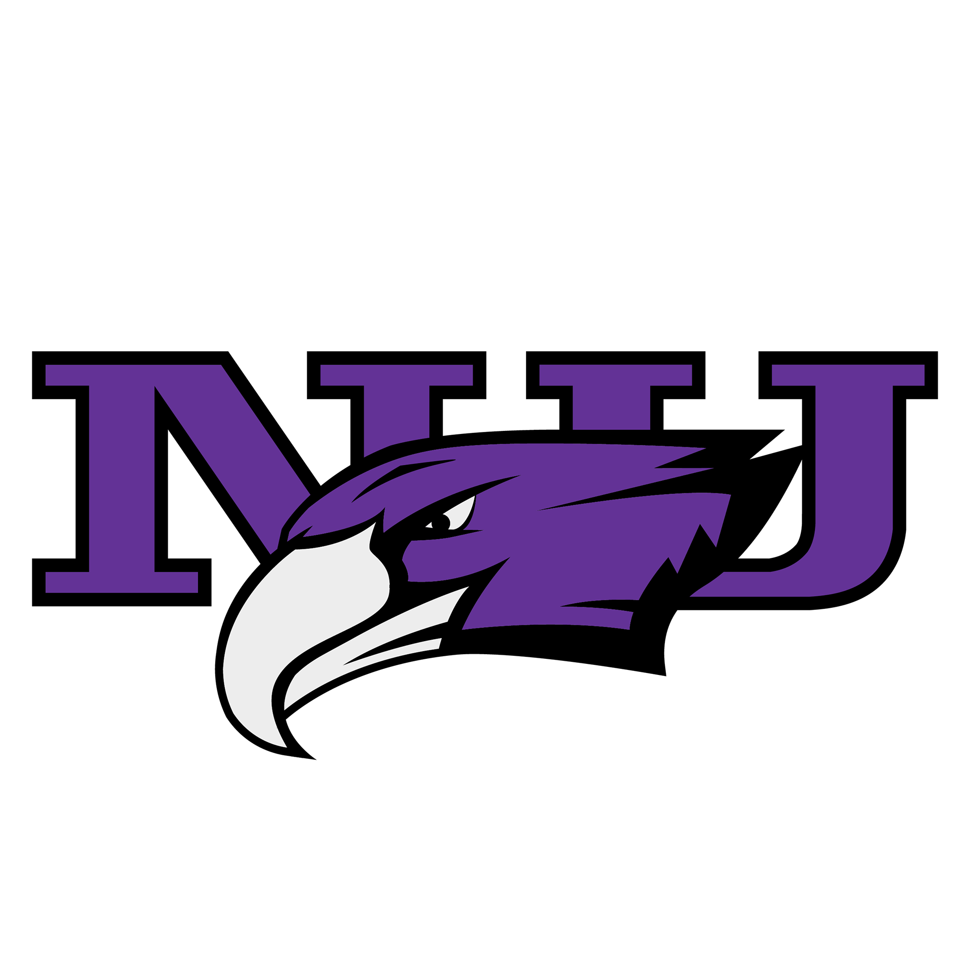 *Niagara University