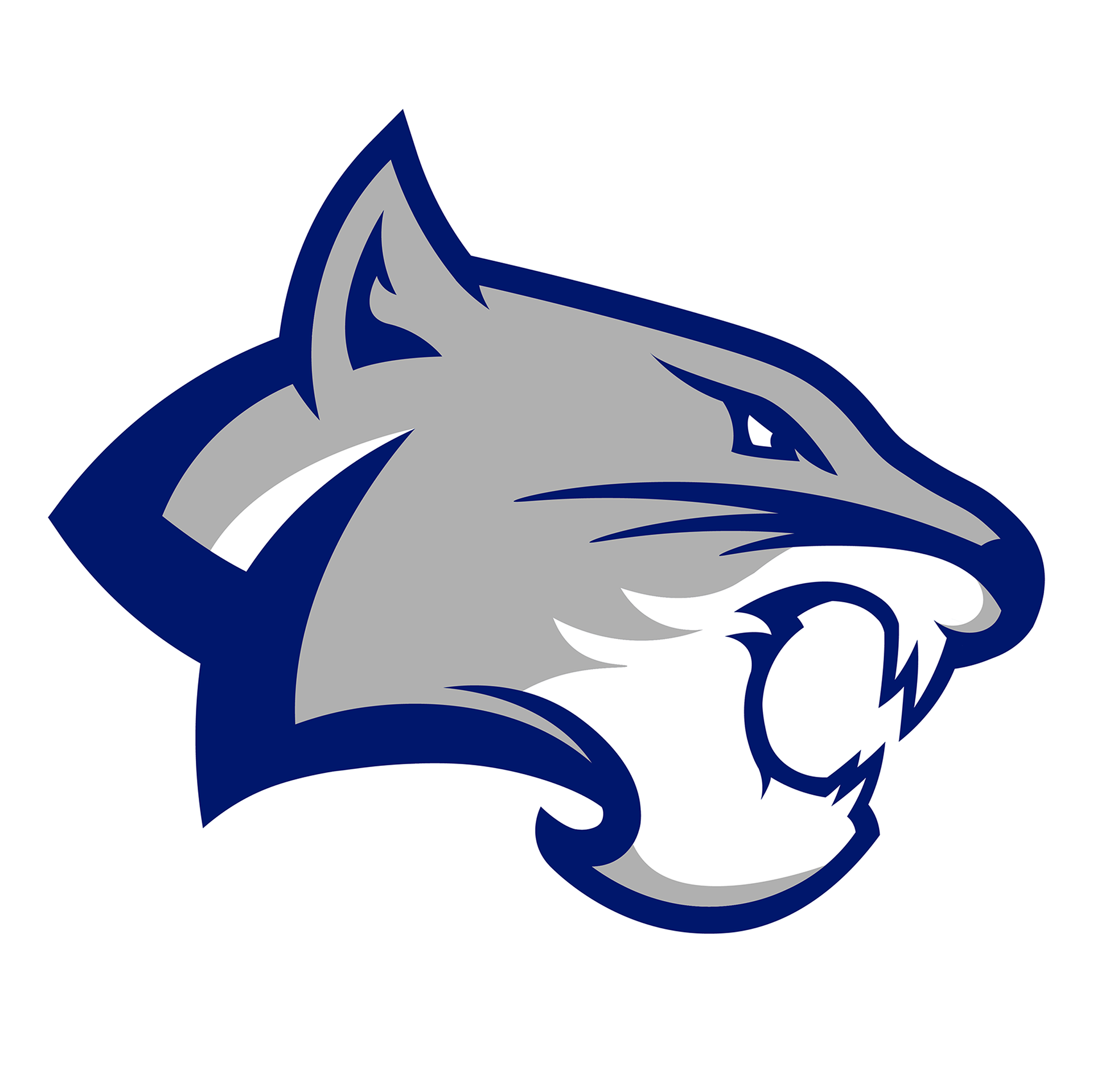 Brighton Bobcats