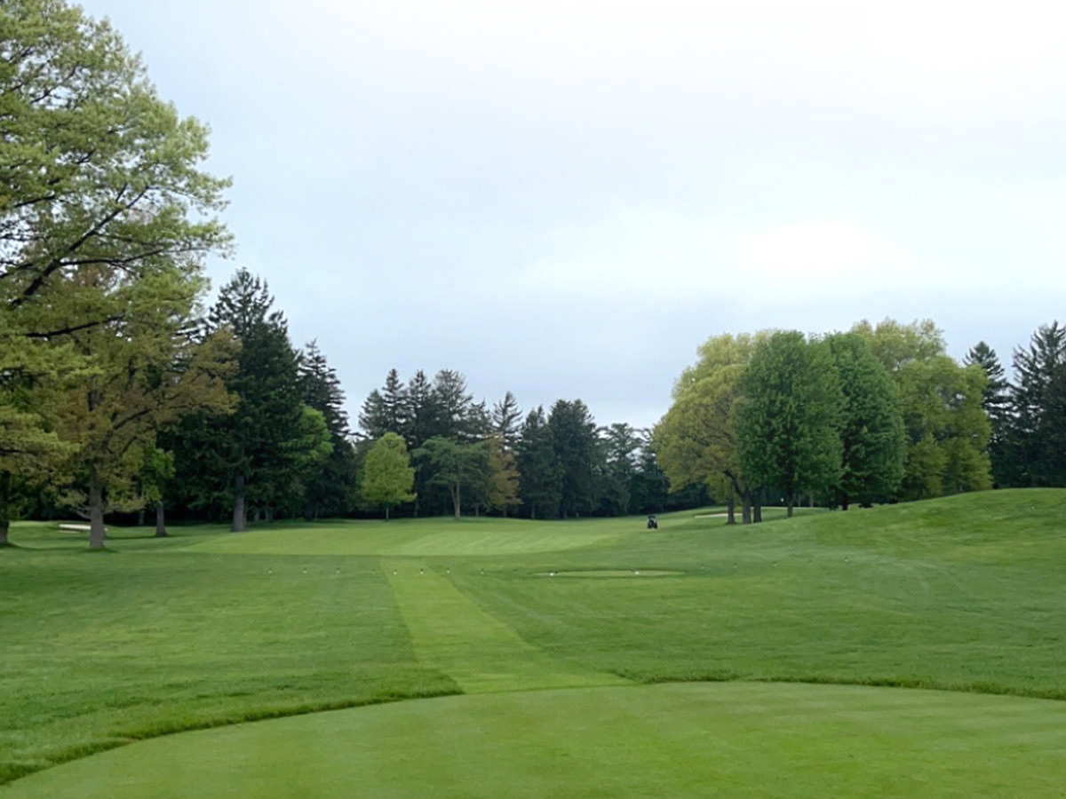 Golfing