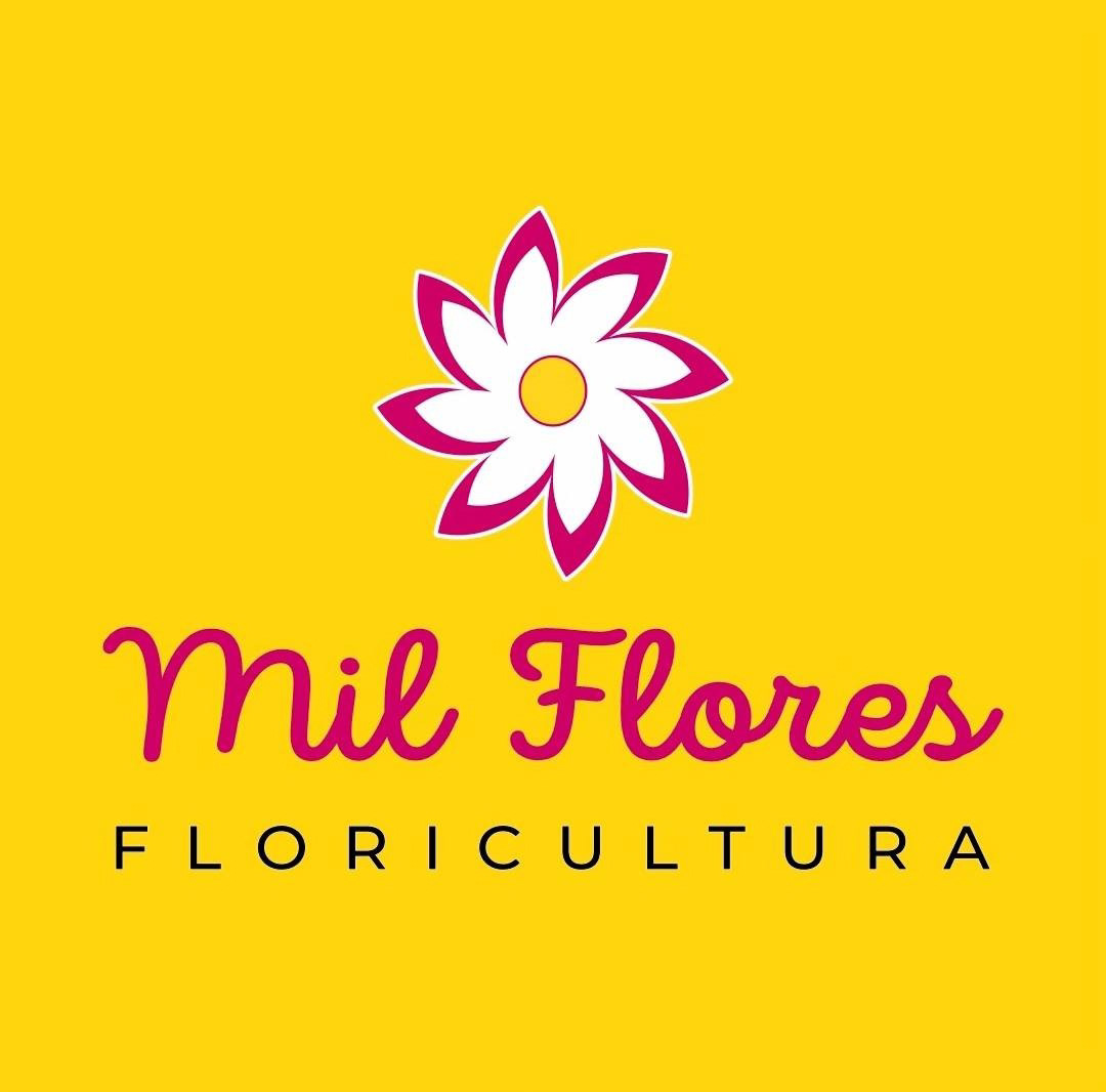 Identidade da marca antes do rebranding