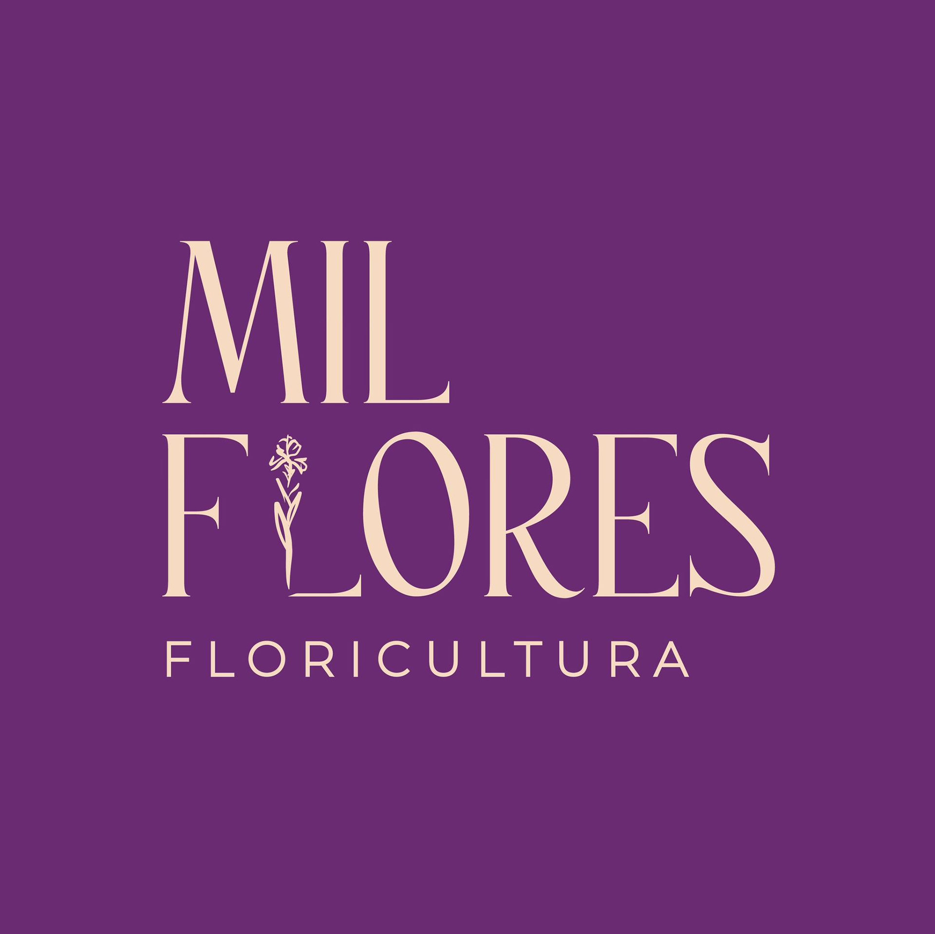 Identidade da marca após o rebranding realizado